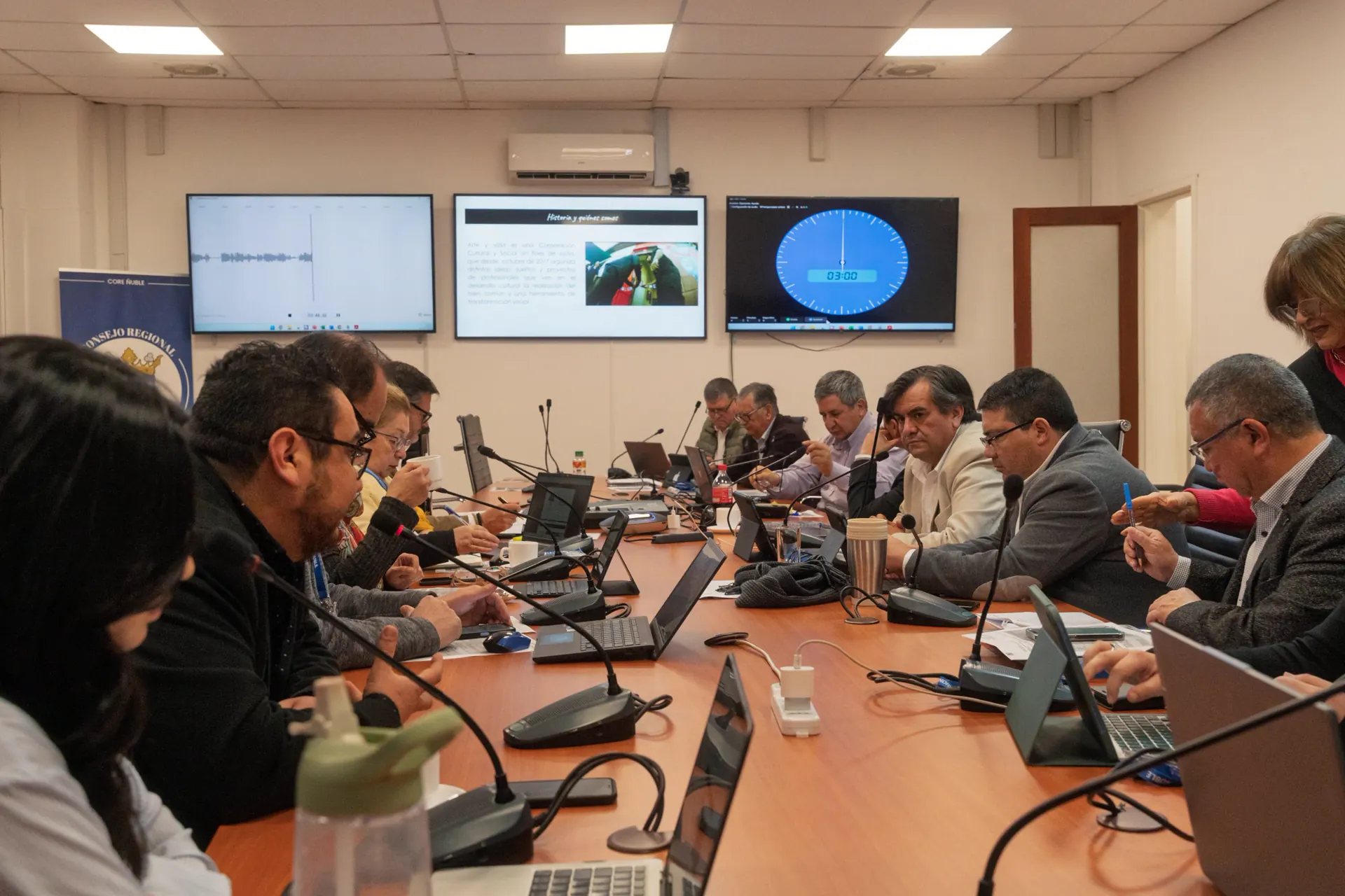 Corporación Arte y Vida expone ante el Consejo Regional de Ñuble sobre su trabajo cultural y nuevos desafíos territoriales