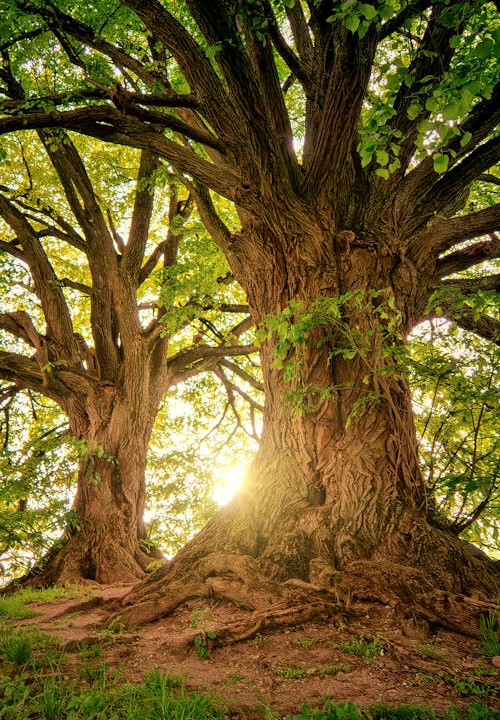 Programa Amig@s de Arte y Vida