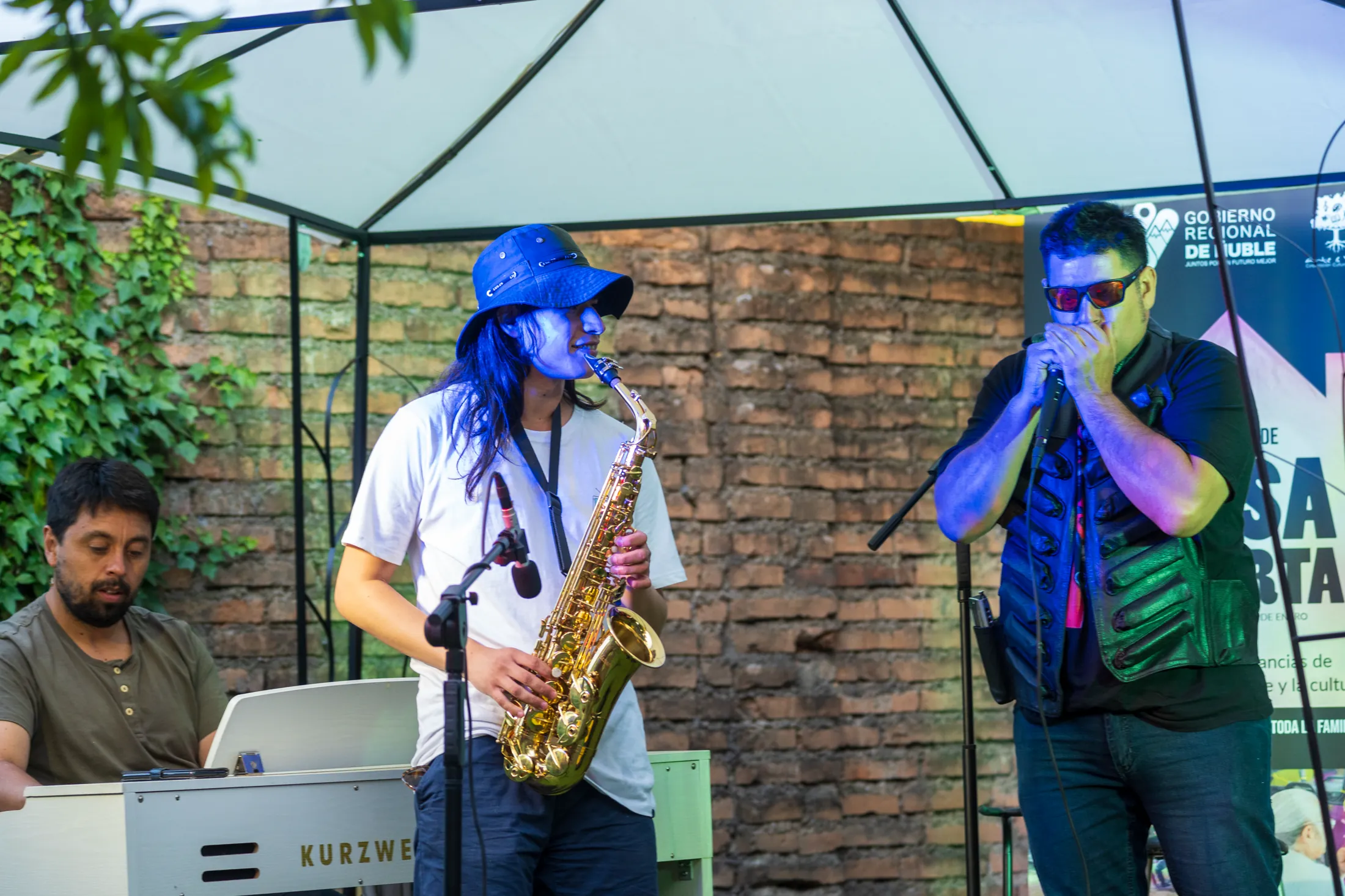 Casa Abierta - registro 33