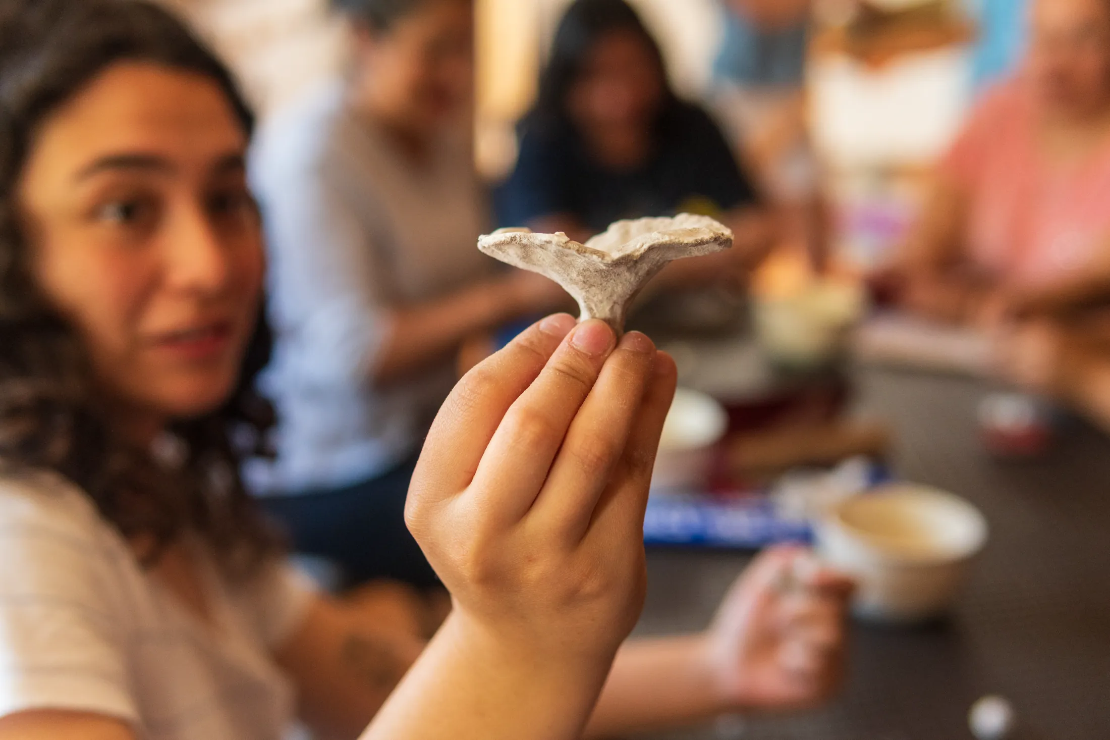 Casa Abierta - registro 34