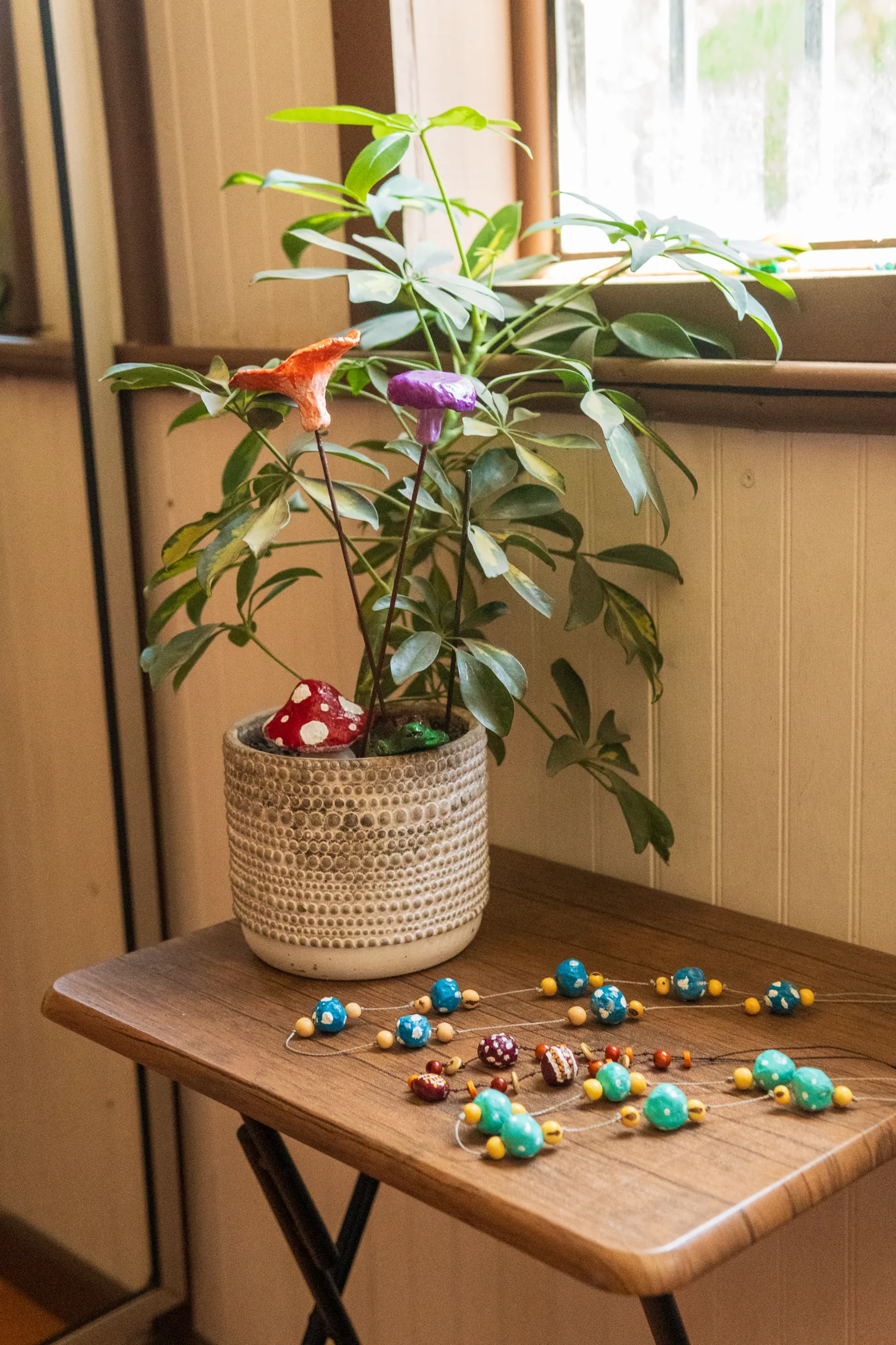 Casa Abierta - registro 39