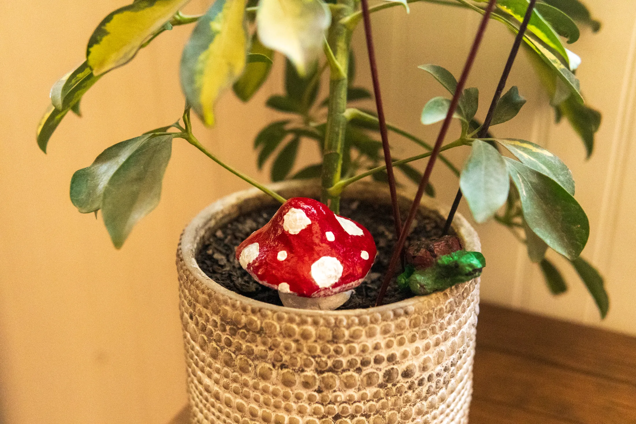 Casa Abierta - registro 9