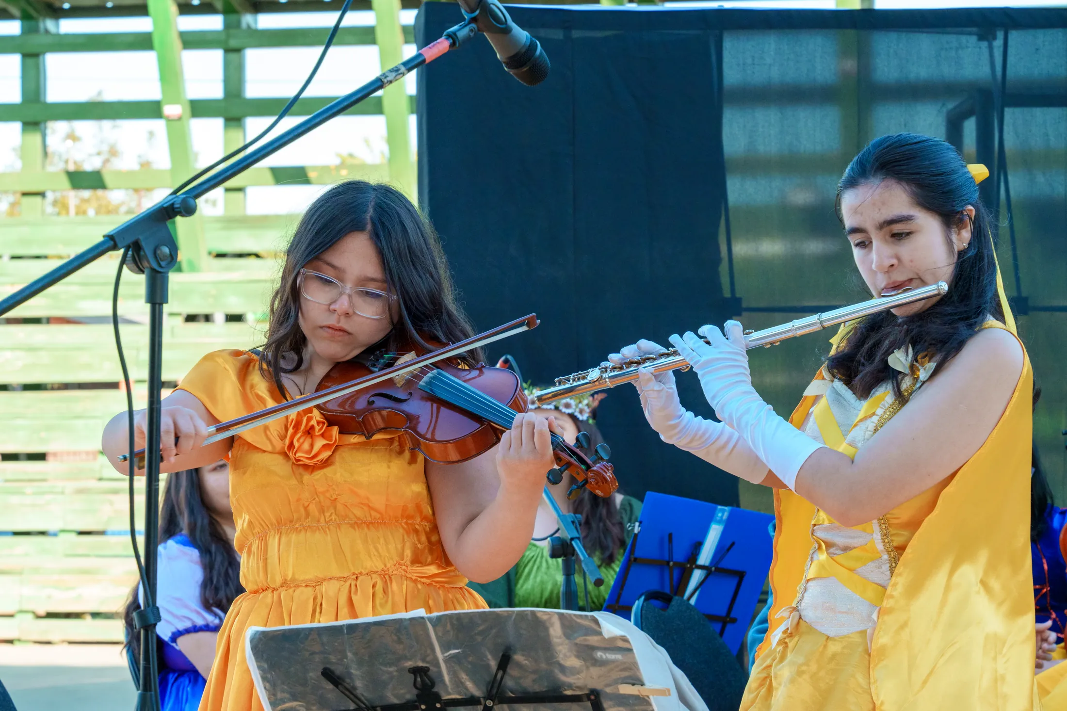 Concierto Disney en Villa El Conquistador - registro 5