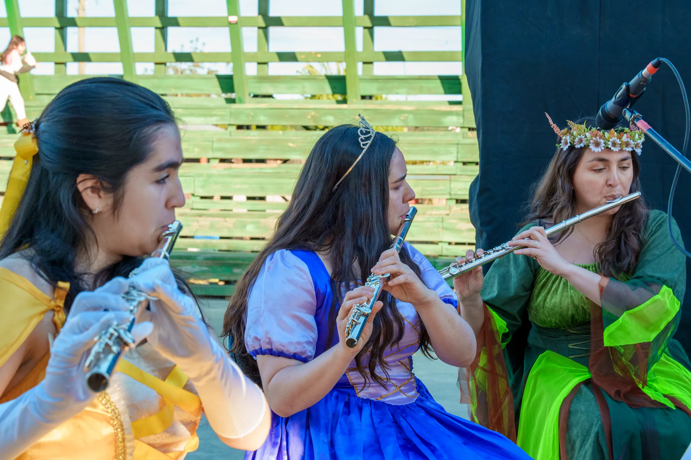 Concierto Disney en Villa El Conquistador - registro 7