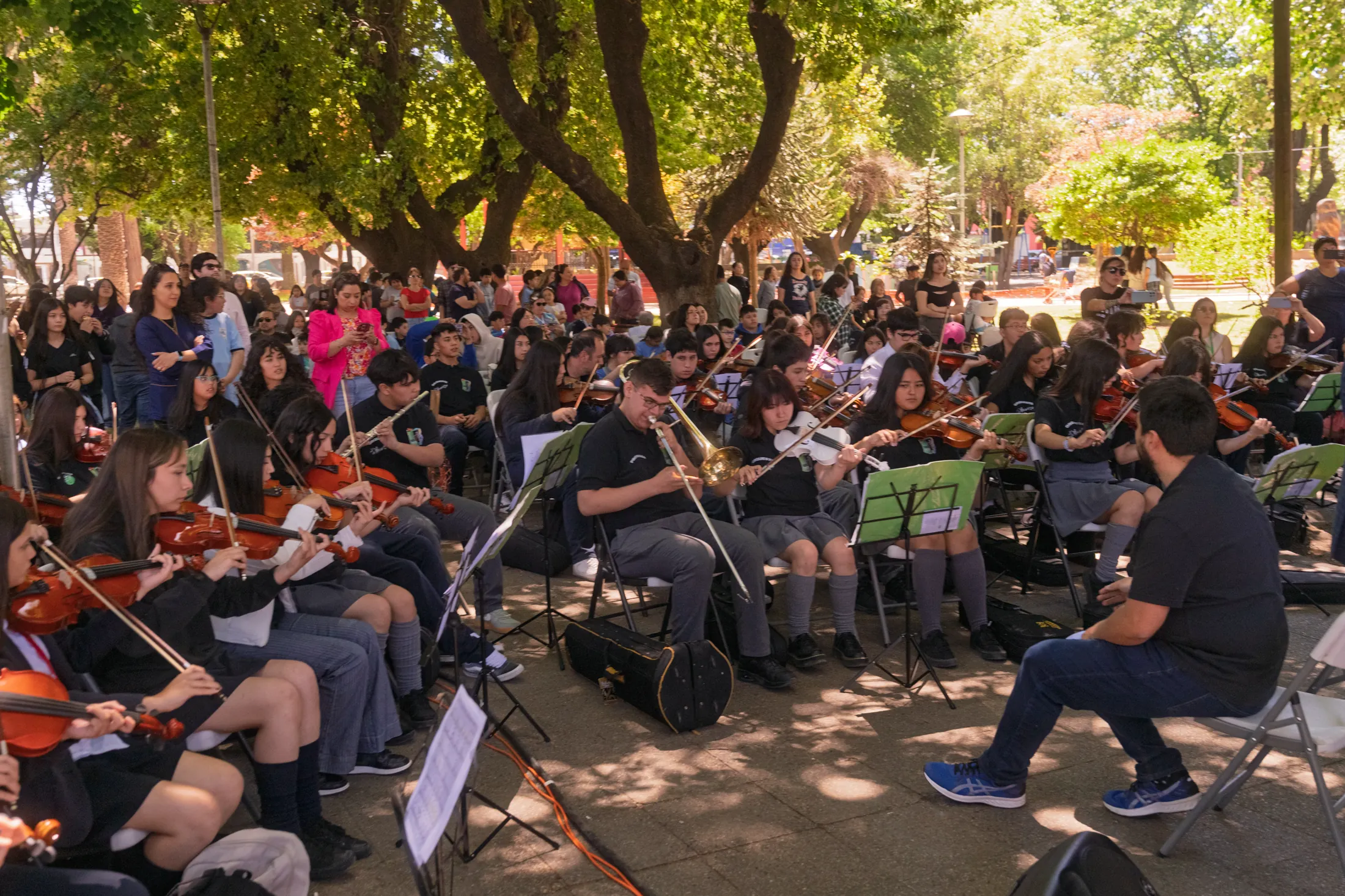 Día de Educultura - registro 26