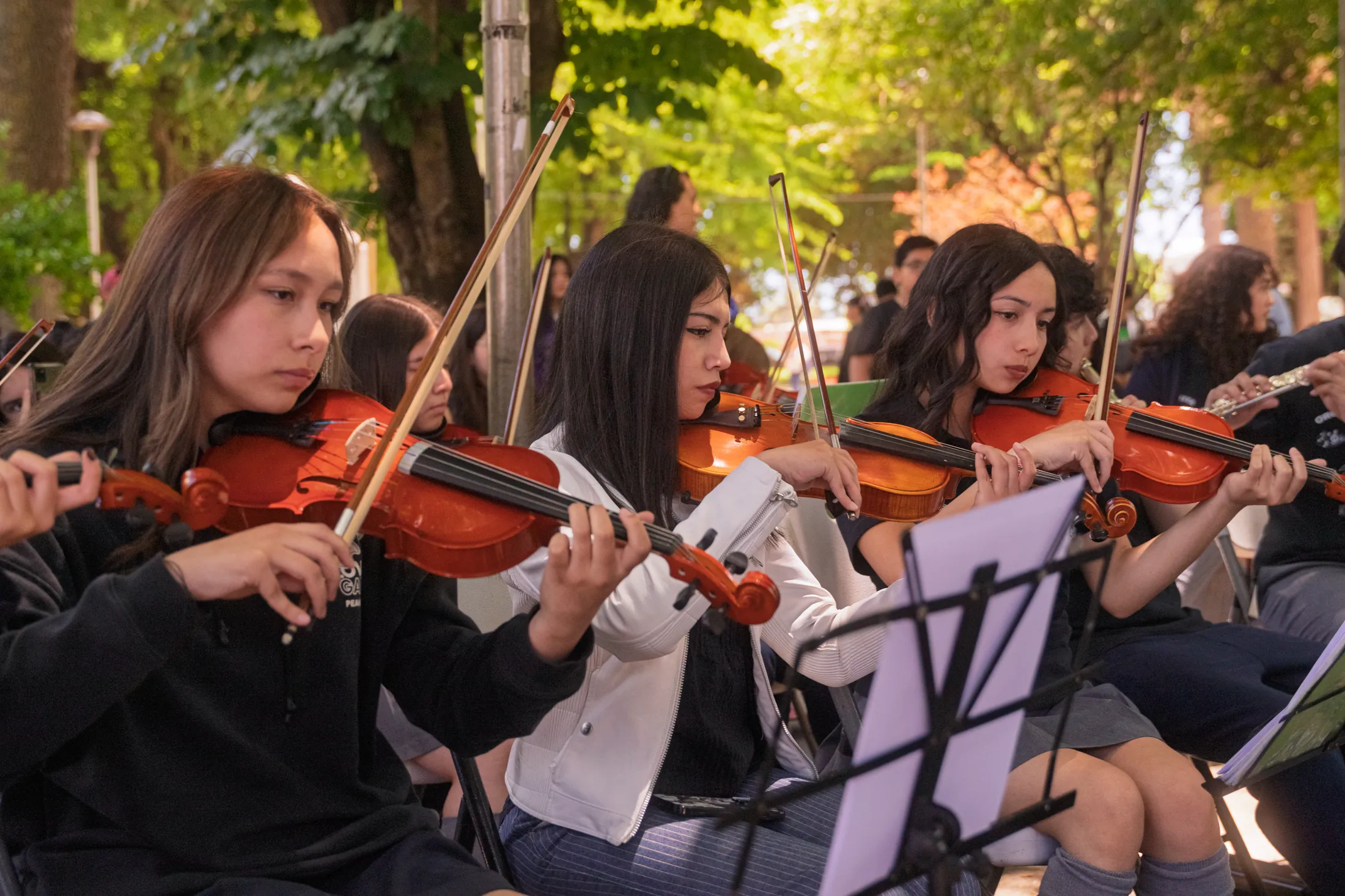 Día de Educultura - registro 17
