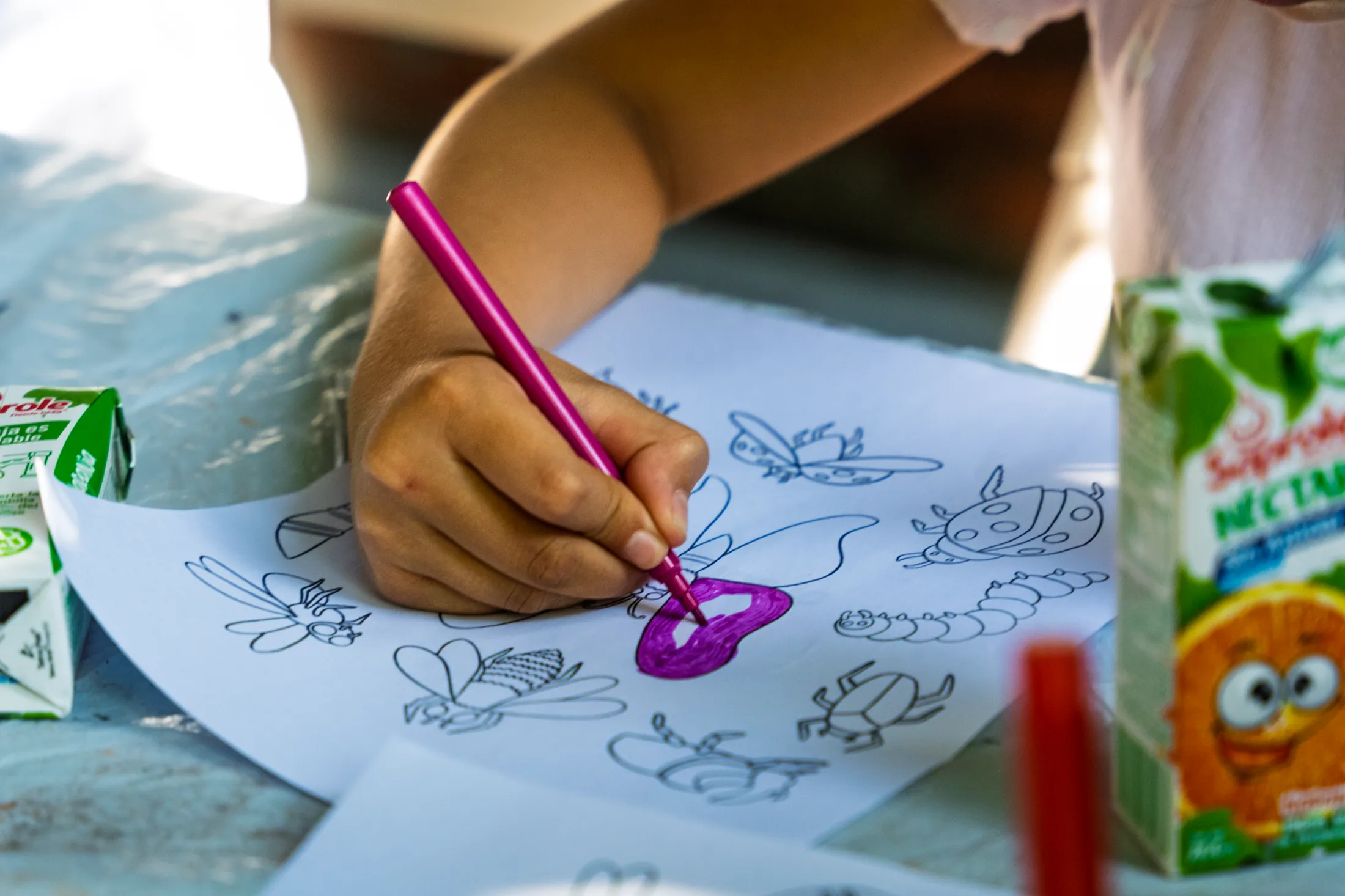 Talleres Express en Verano - registro 19