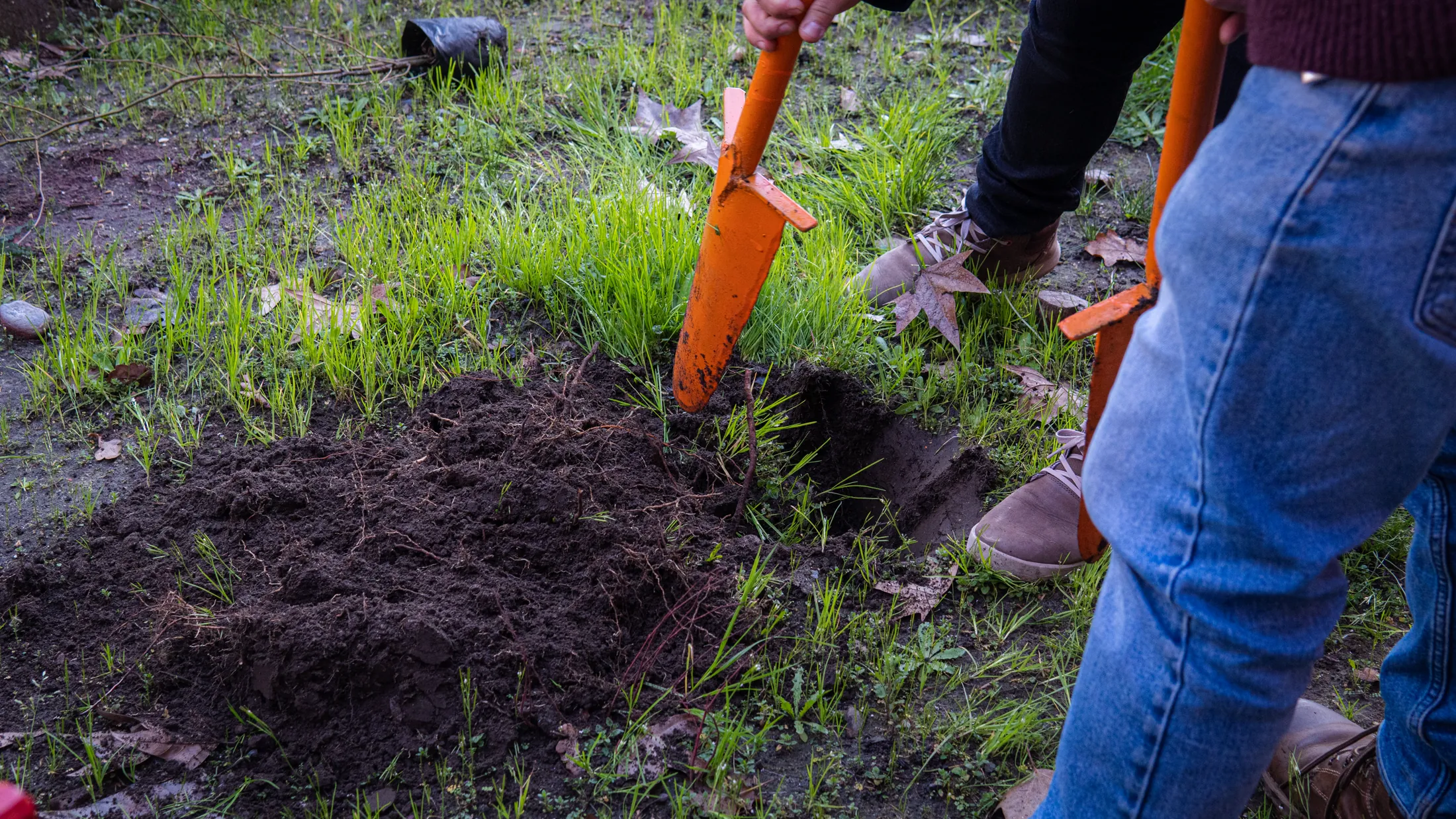 Proyectos medioambientales - registro 15