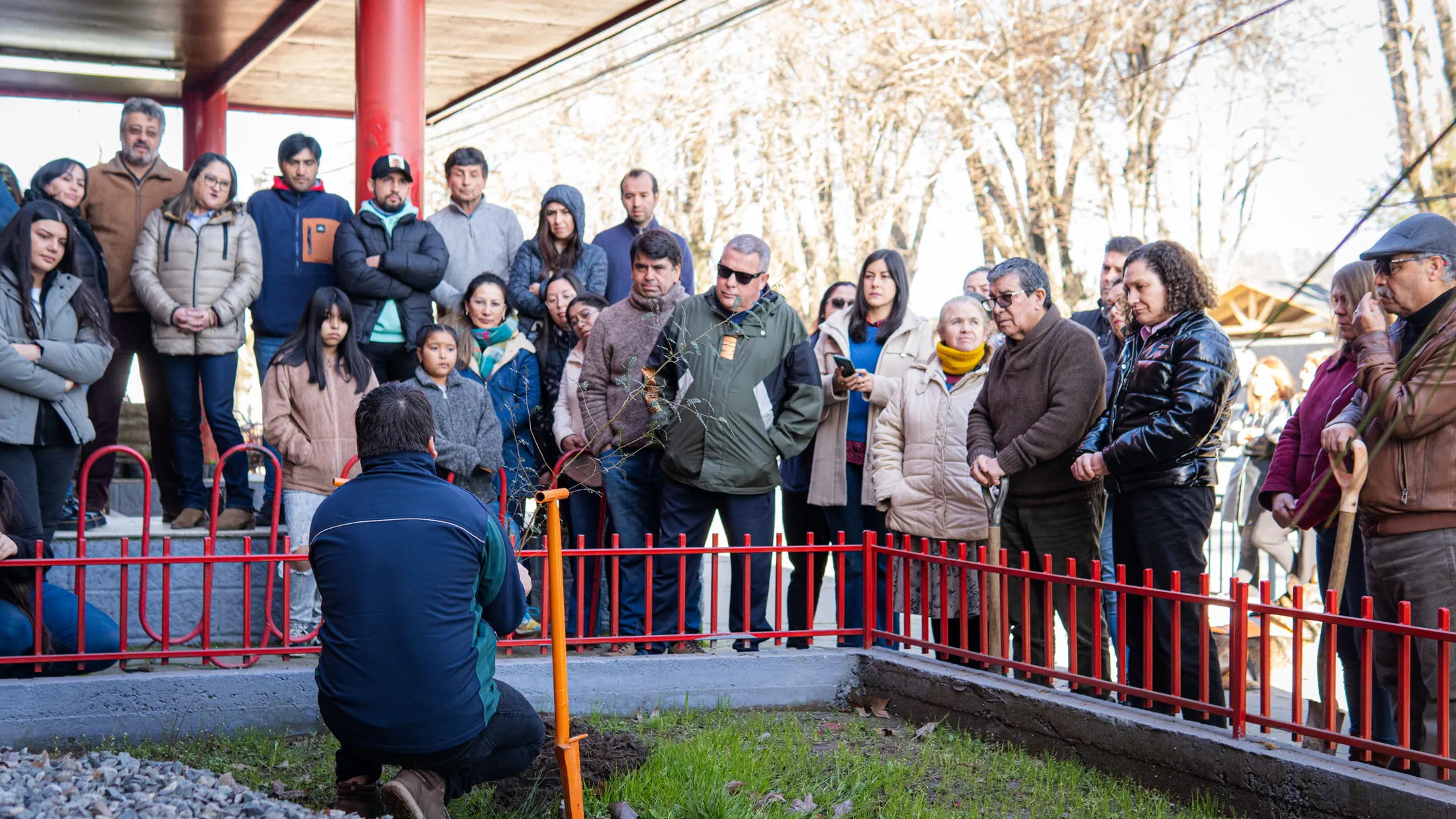 Proyectos medioambientales - registro 2