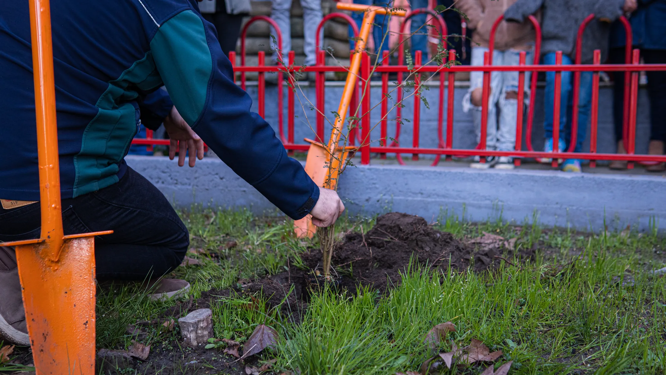 Proyectos medioambientales - registro 36
