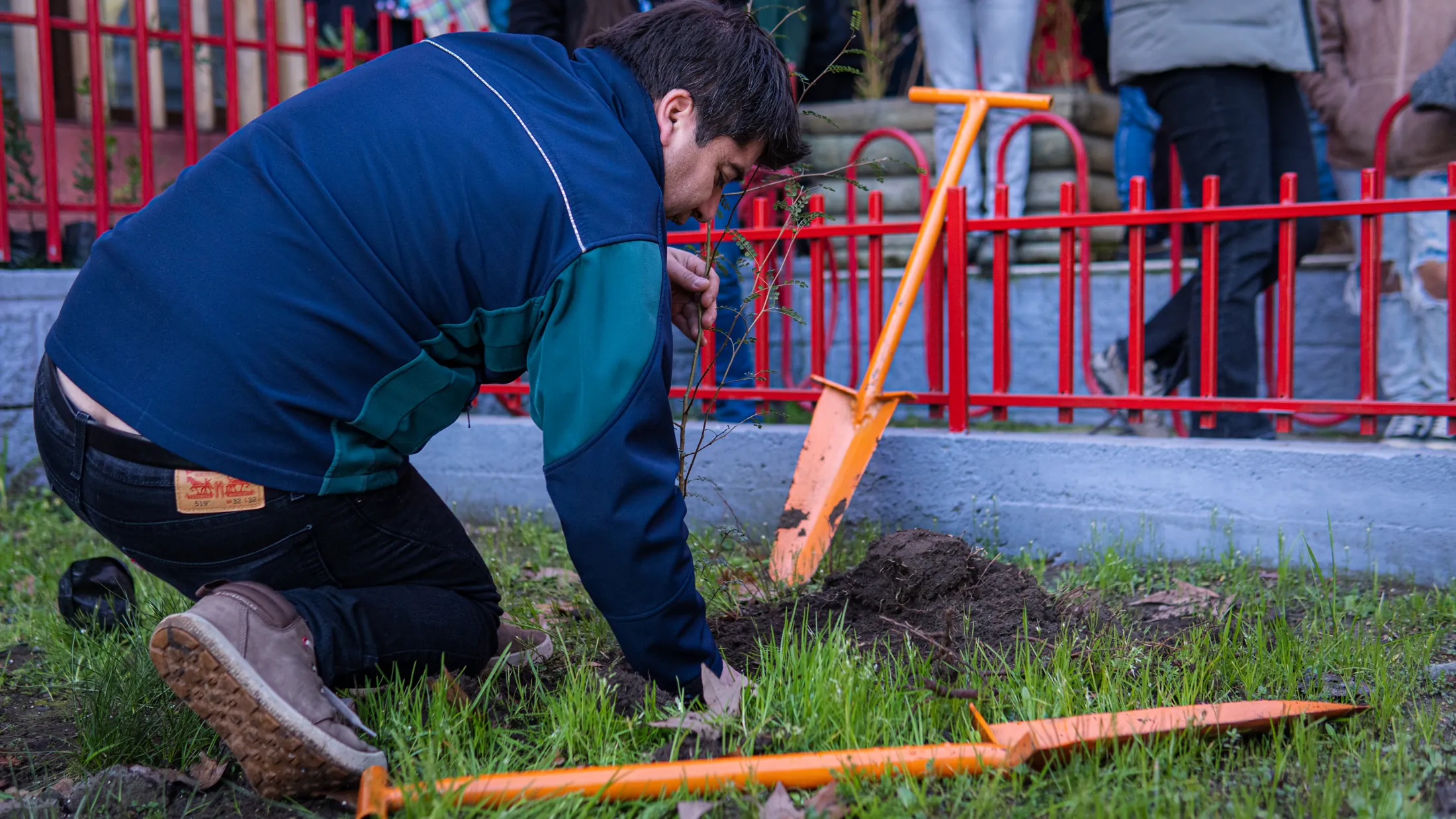 Proyectos medioambientales - registro 33