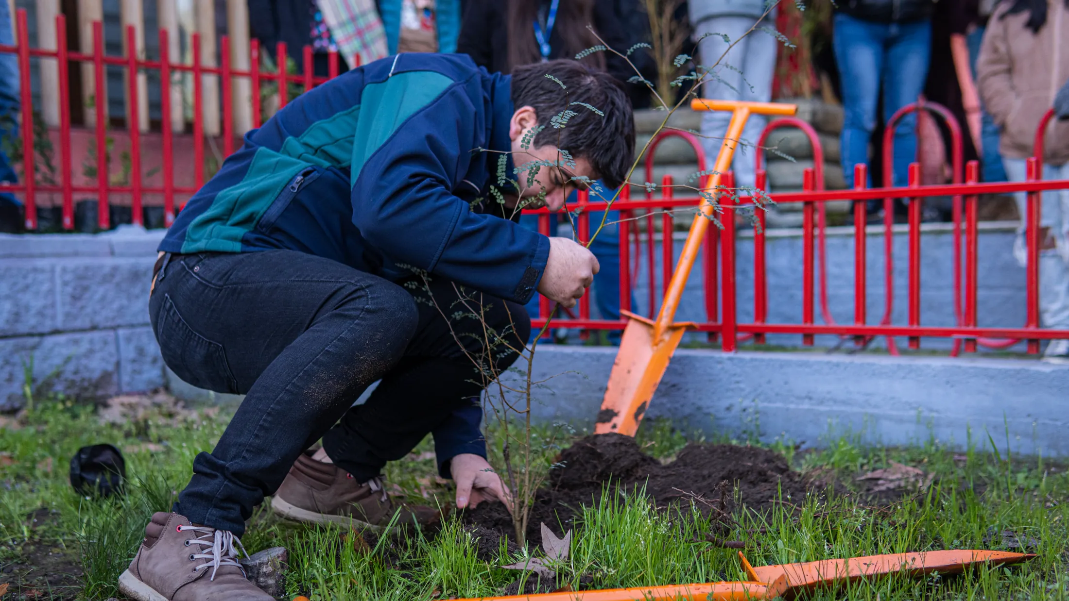 Proyectos medioambientales - registro 4