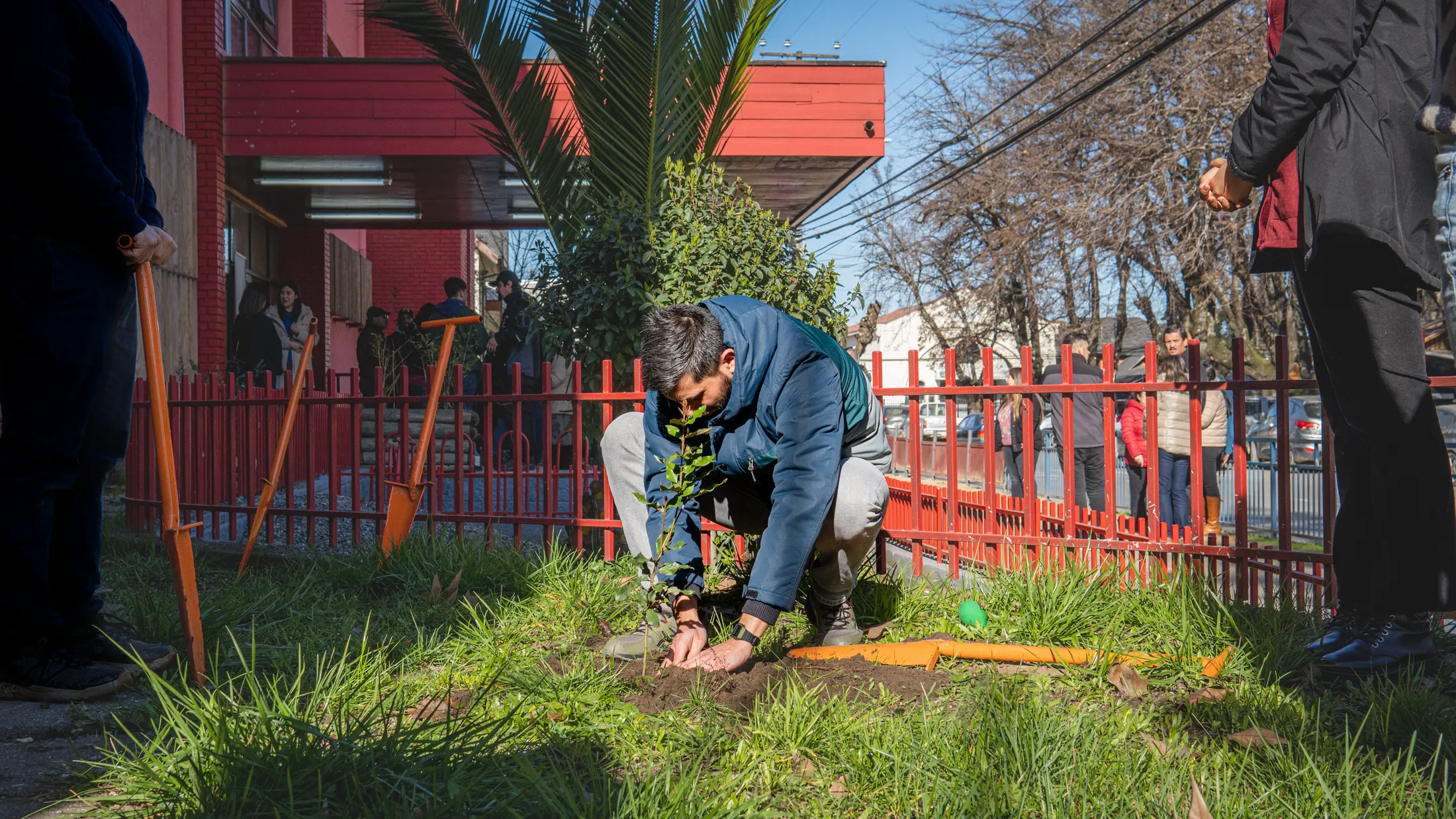 Proyectos medioambientales - registro 41