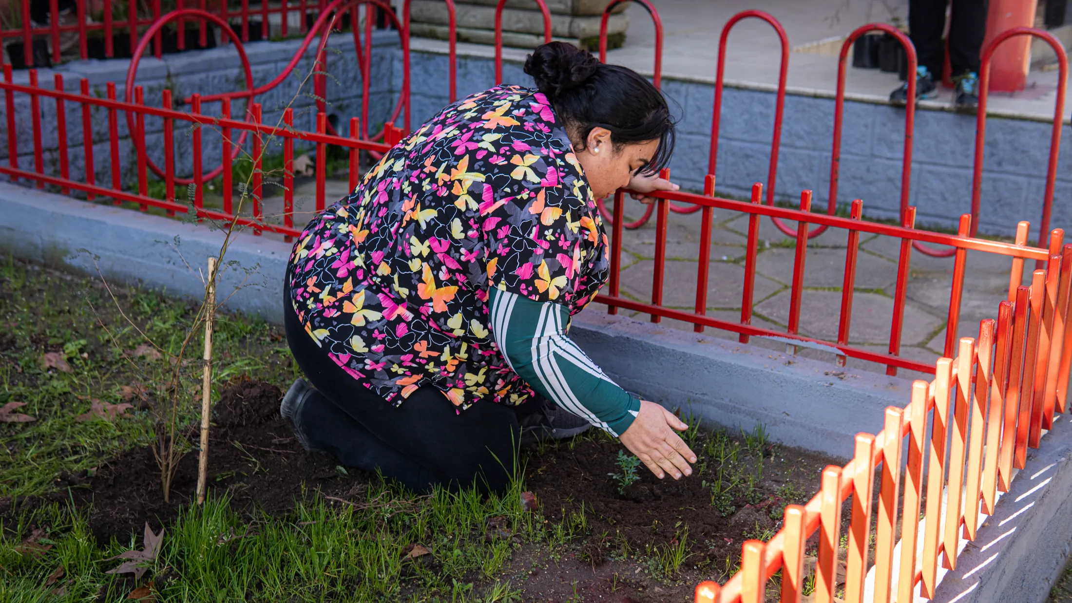 Proyectos medioambientales - registro 64