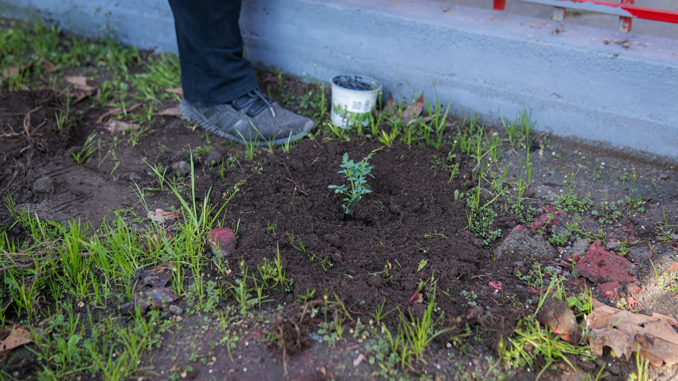Proyectos medioambientales - registro 31