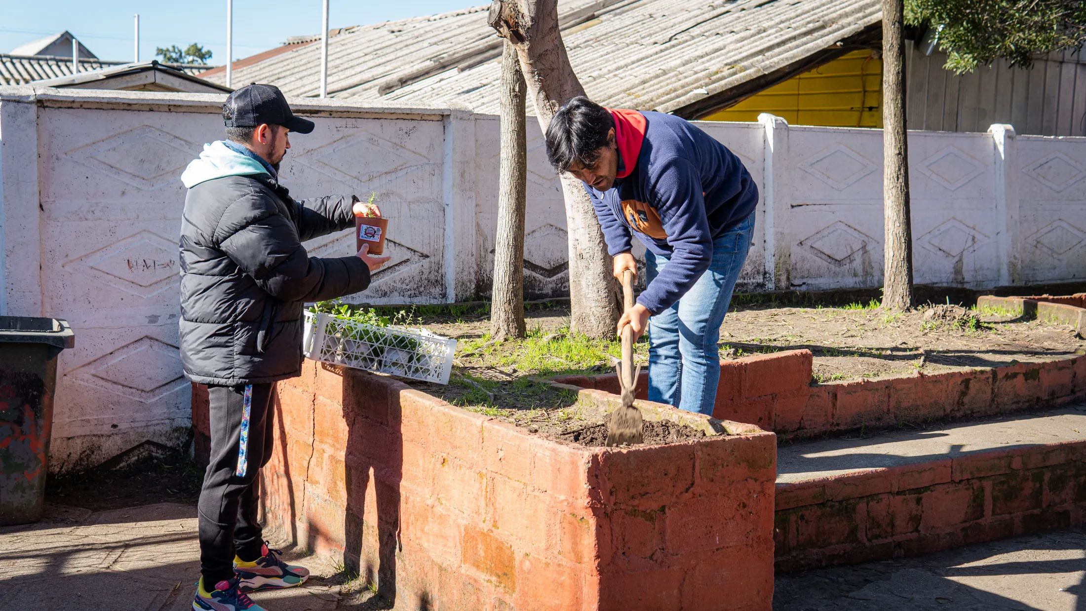 Proyectos medioambientales - registro 37