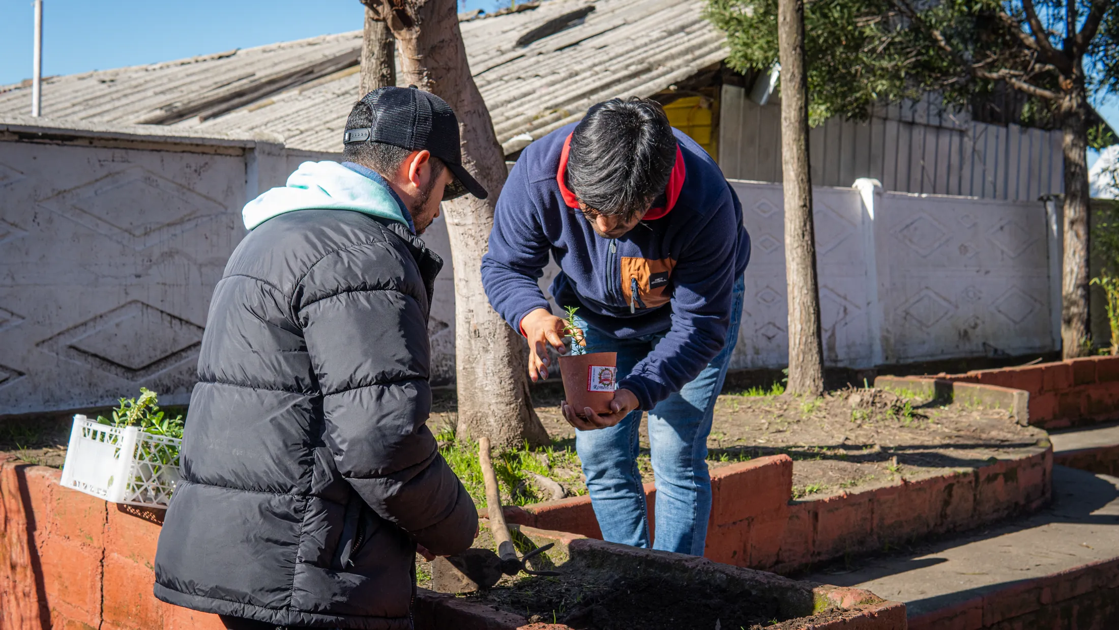 Proyectos medioambientales - registro 8