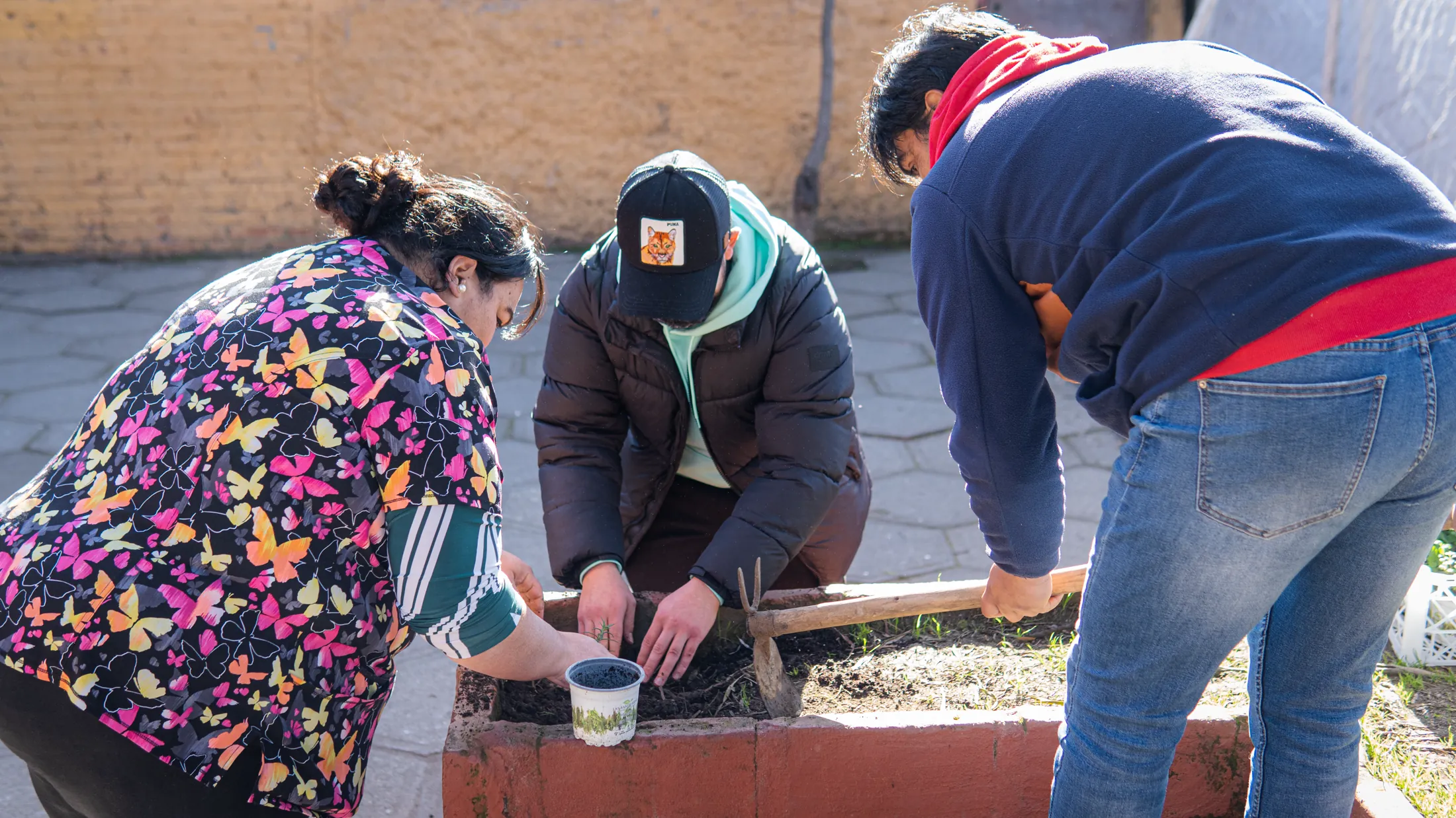 Proyectos medioambientales - registro 71