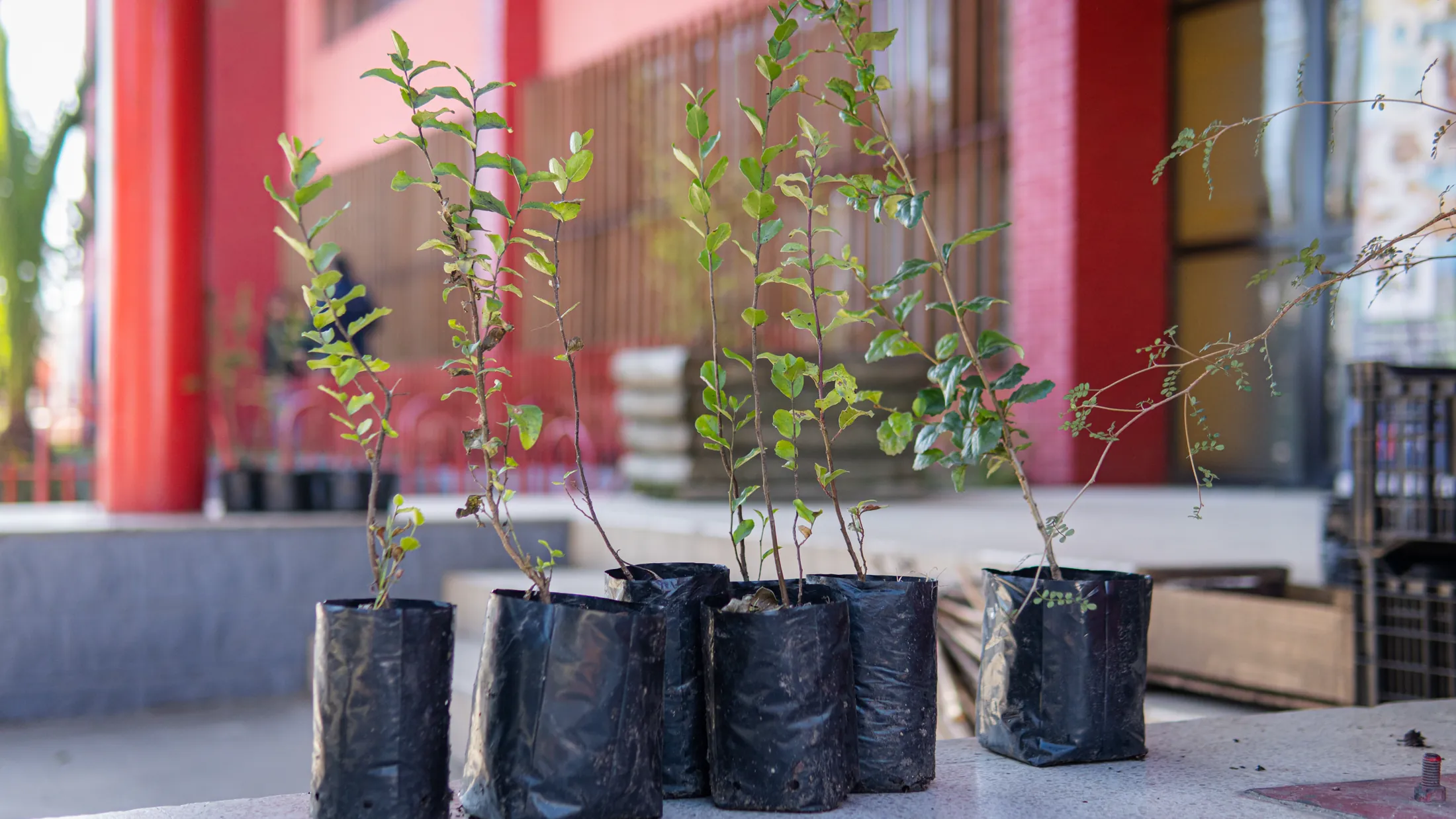 Proyectos medioambientales - registro 35