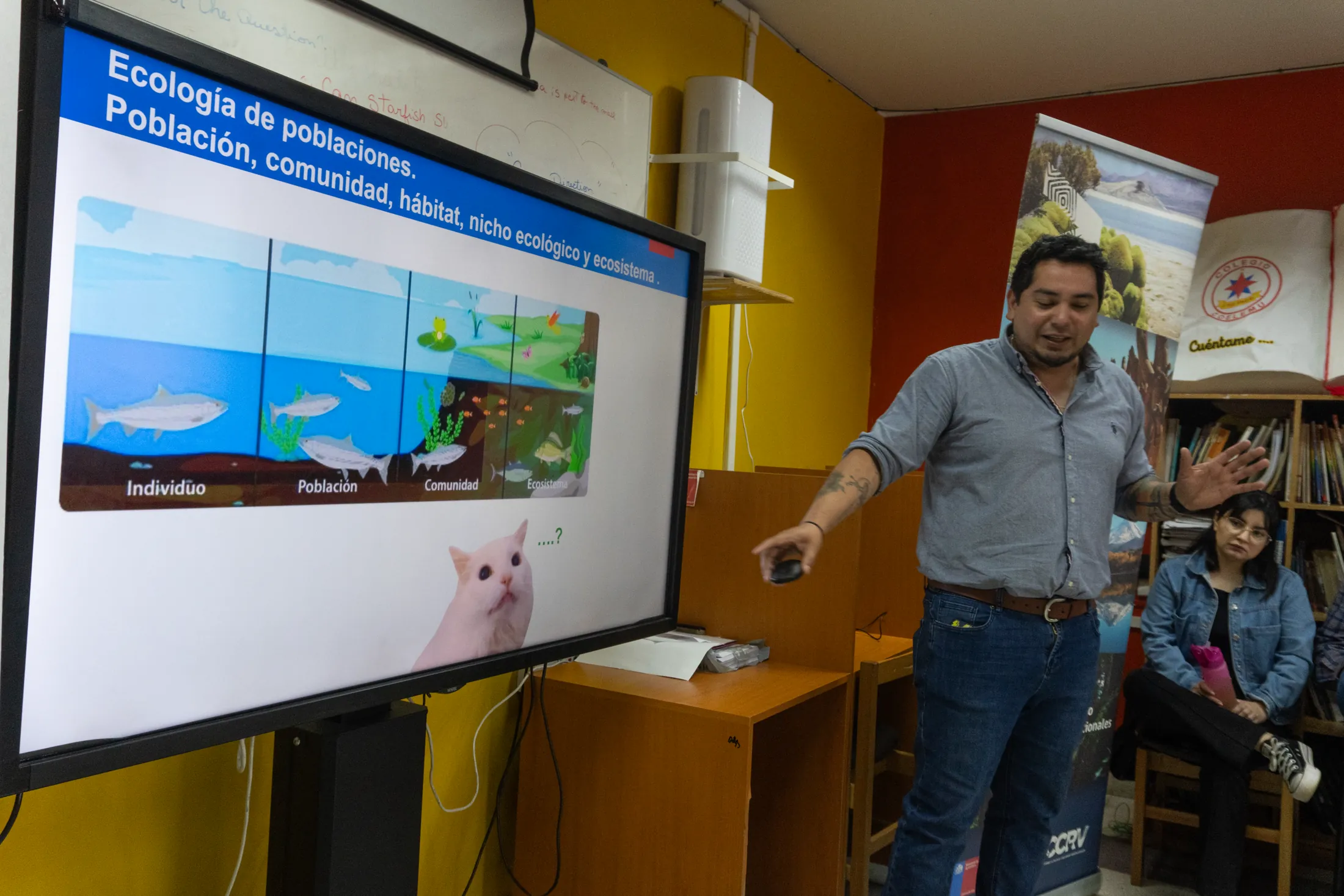 Proyectos medioambientales - registro 77