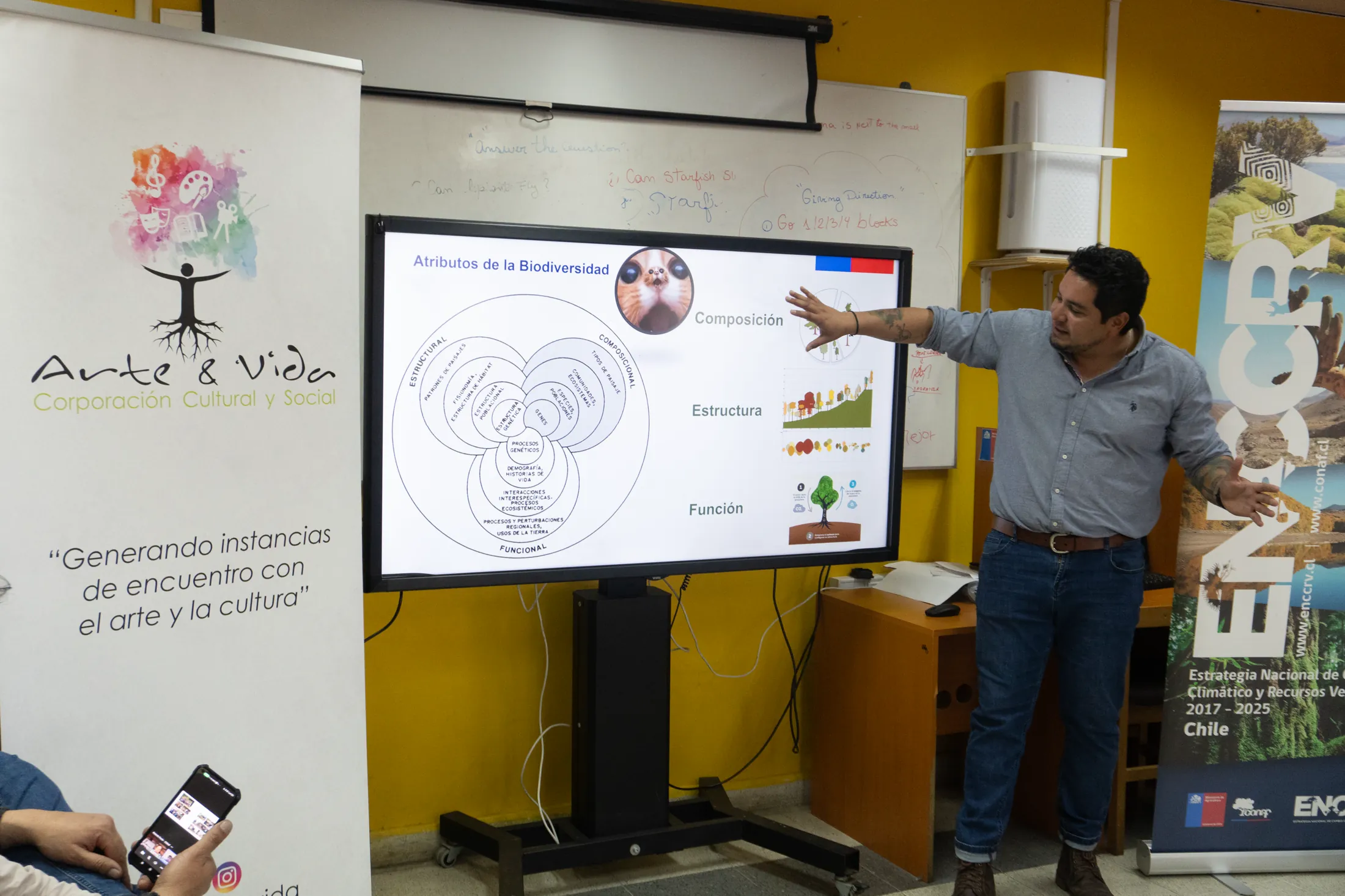 Proyectos medioambientales - registro 13