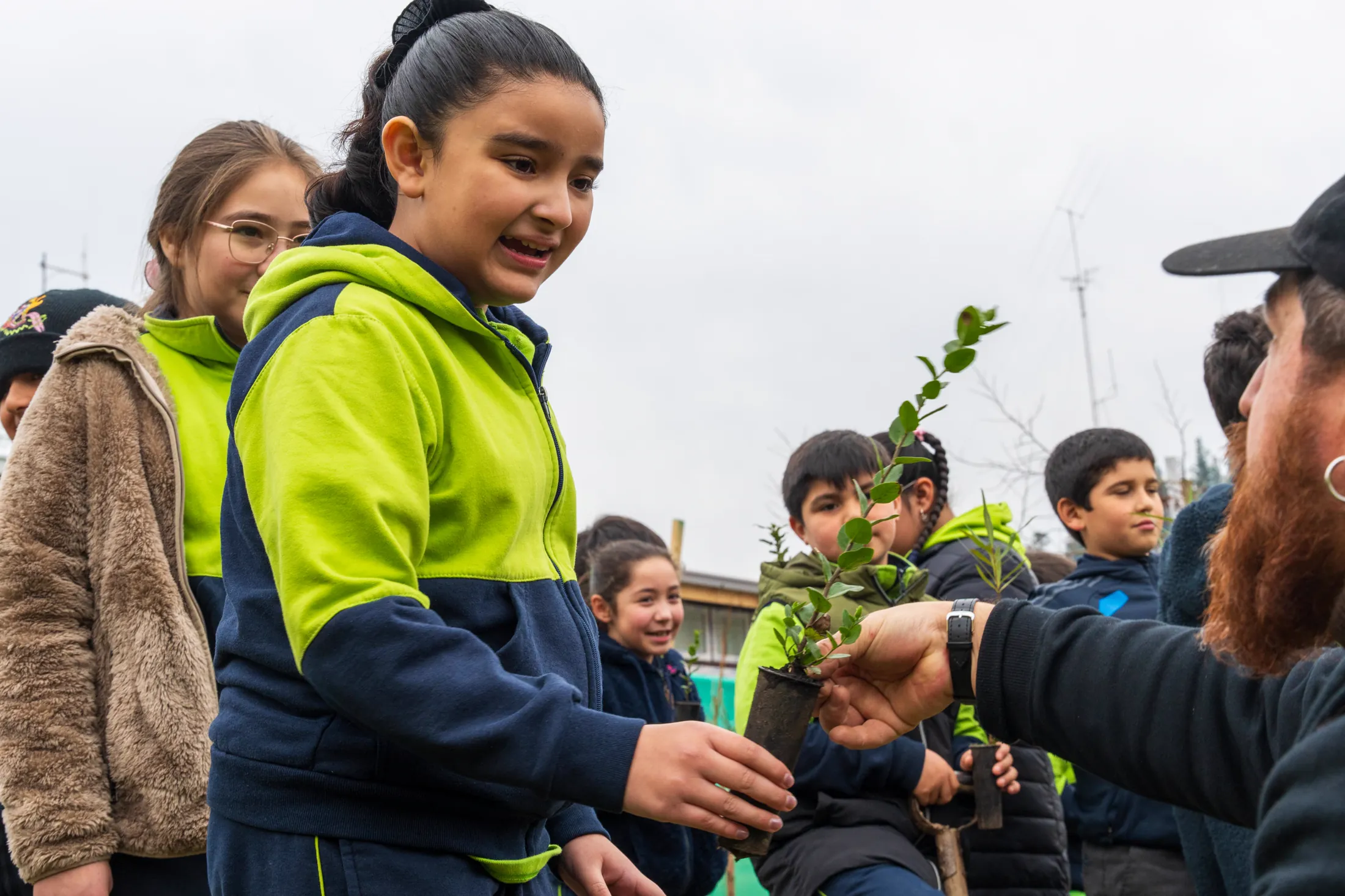Proyectos medioambientales - registro 65