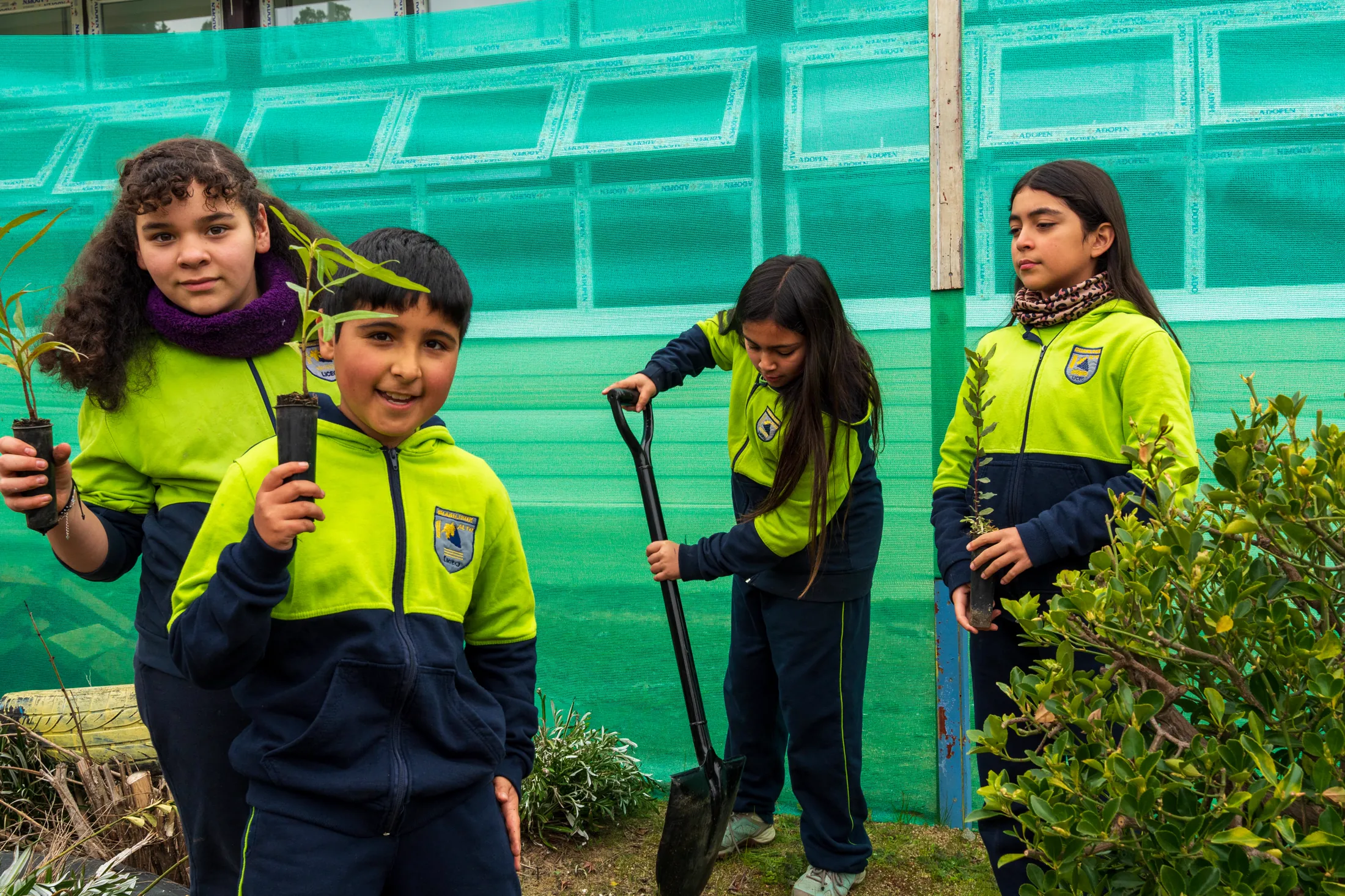 Proyectos medioambientales - registro 61