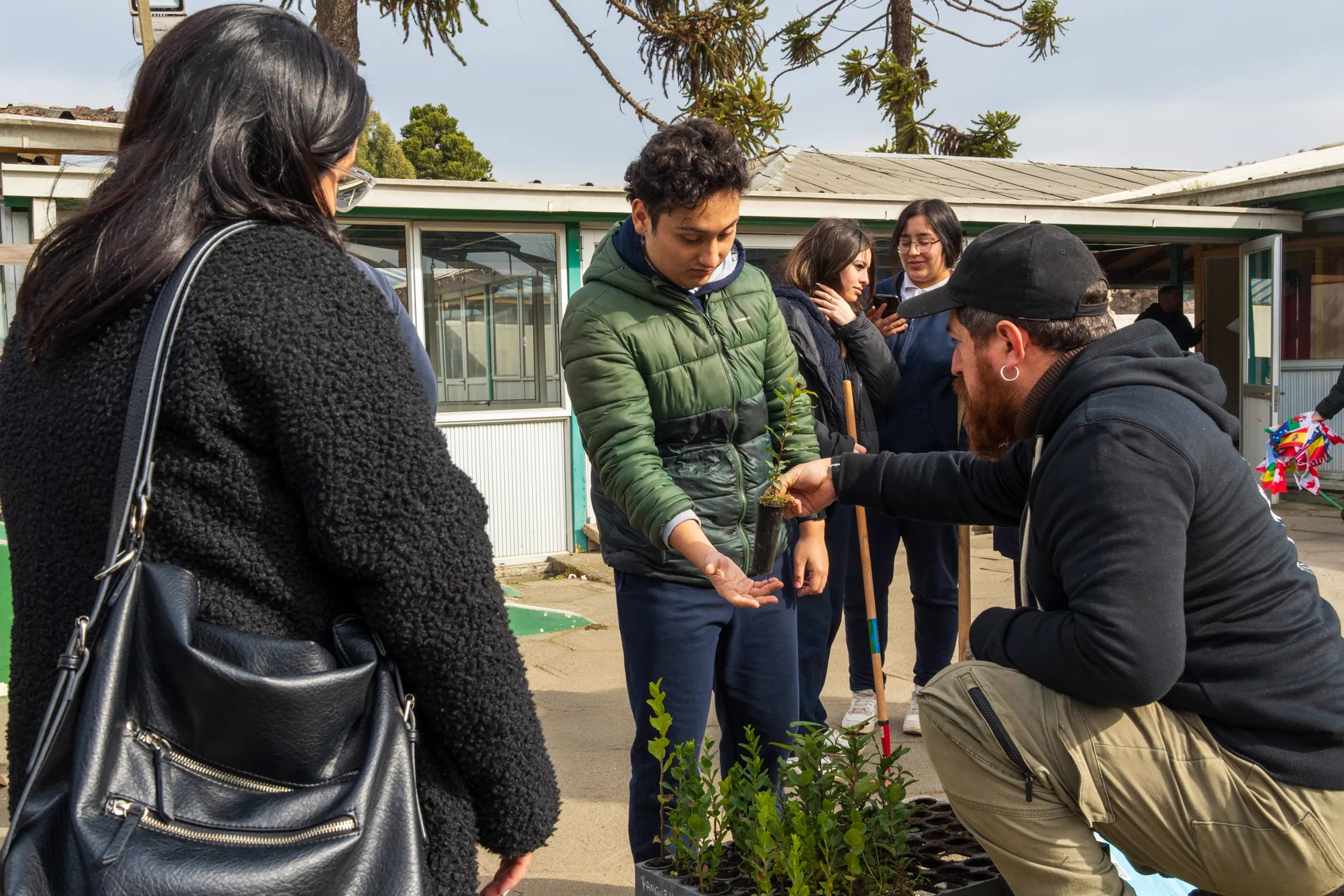 Proyectos medioambientales - registro 50