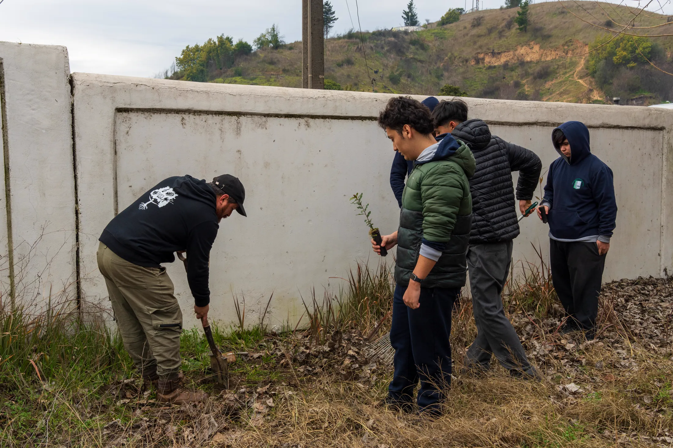 Proyectos medioambientales - registro 17