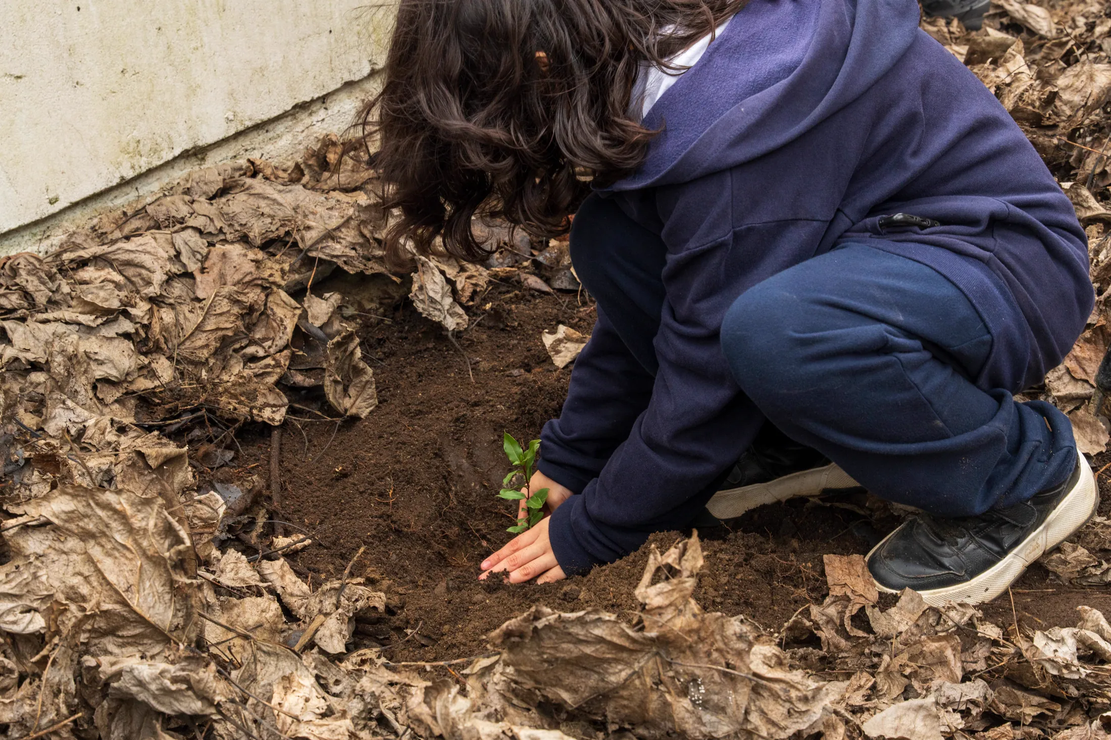 Proyectos medioambientales - registro 80