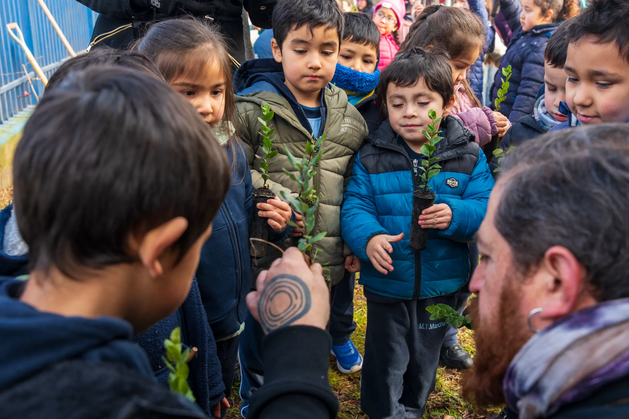 Proyectos medioambientales - registro 29