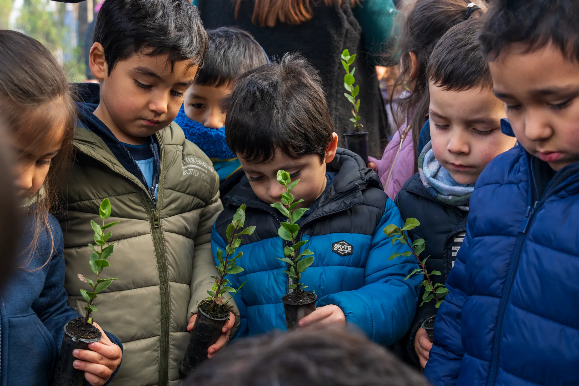 Proyectos medioambientales - registro 2