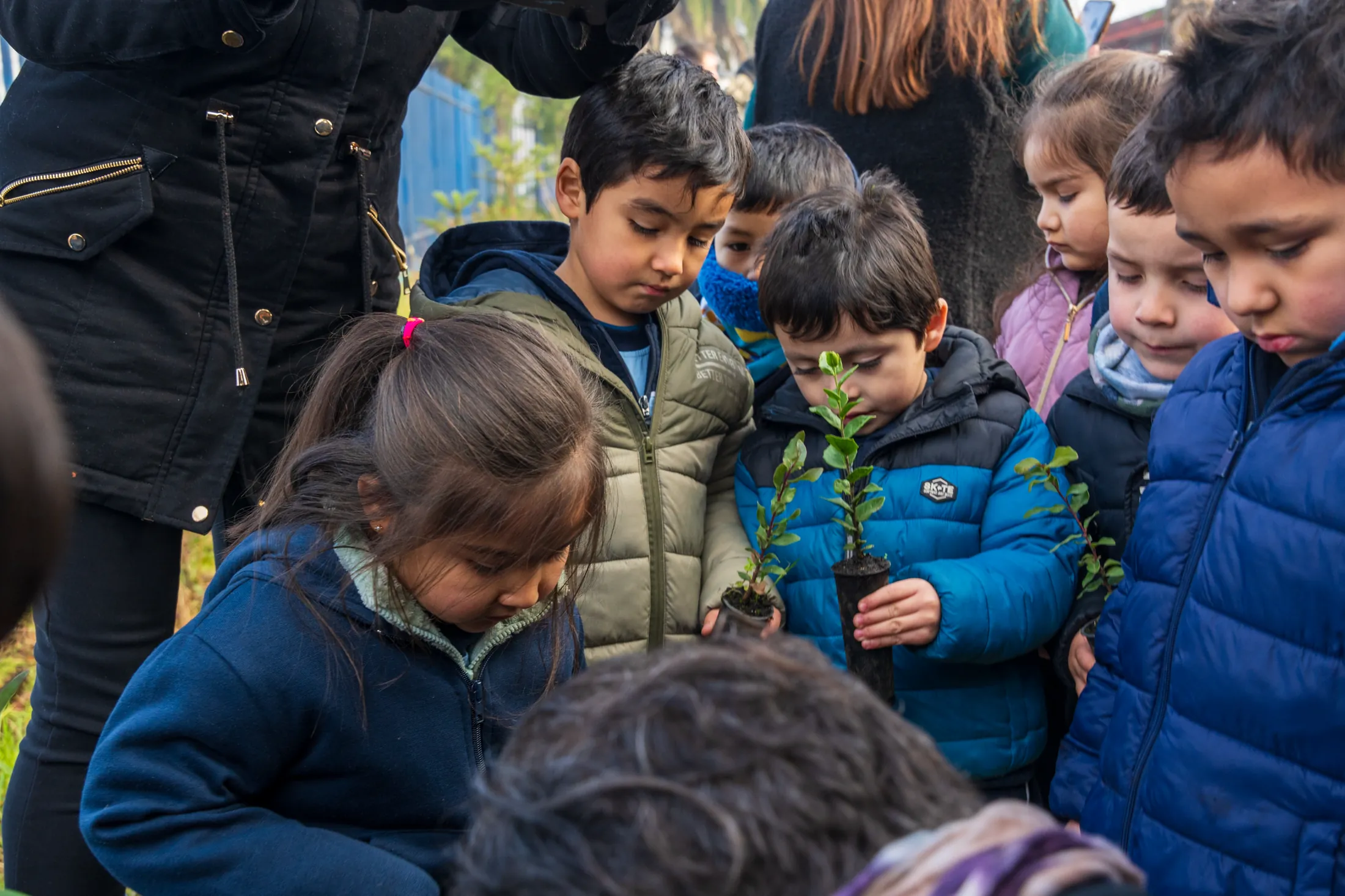 Proyectos medioambientales - registro 28