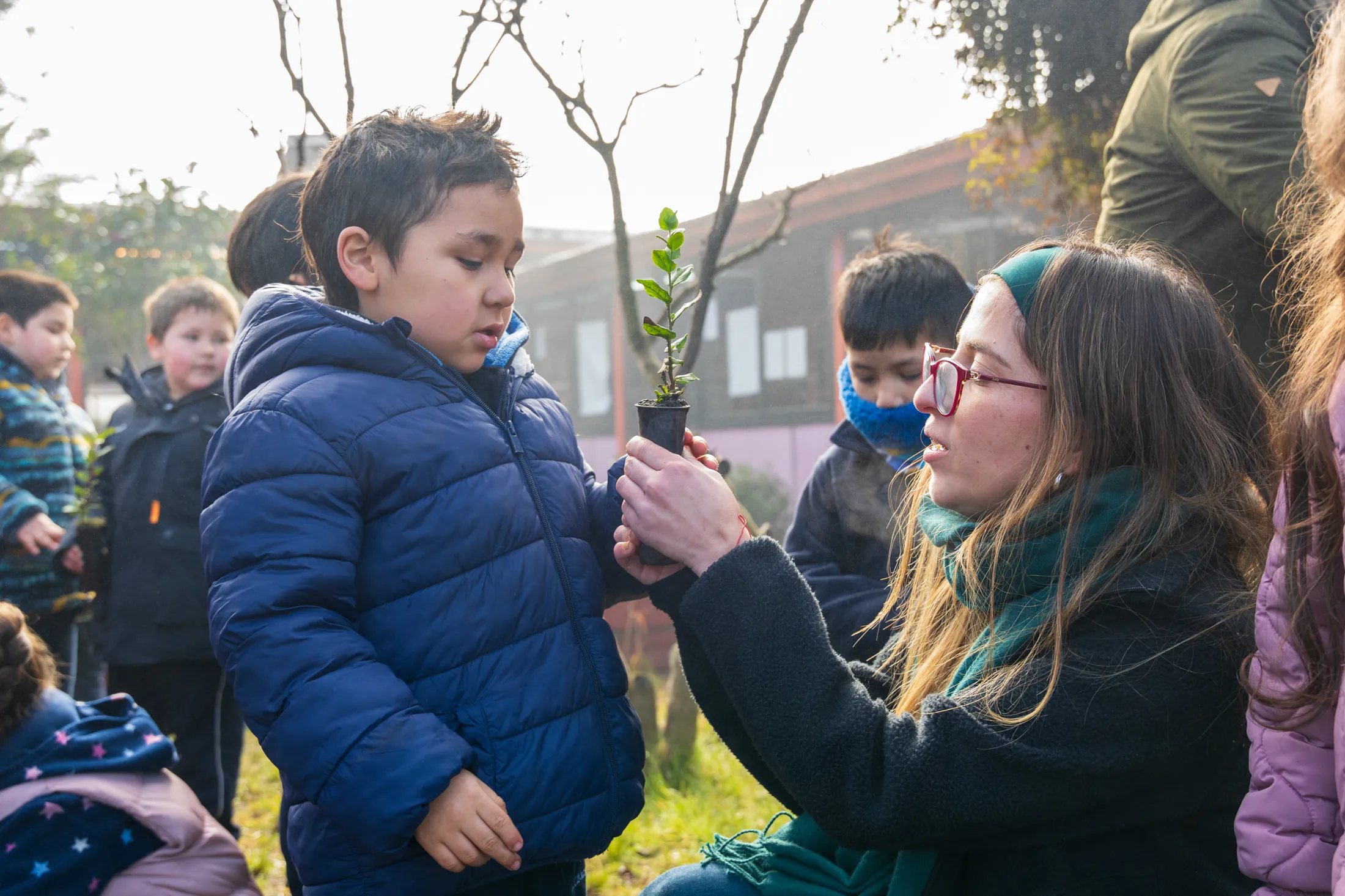 Proyectos medioambientales - registro 33