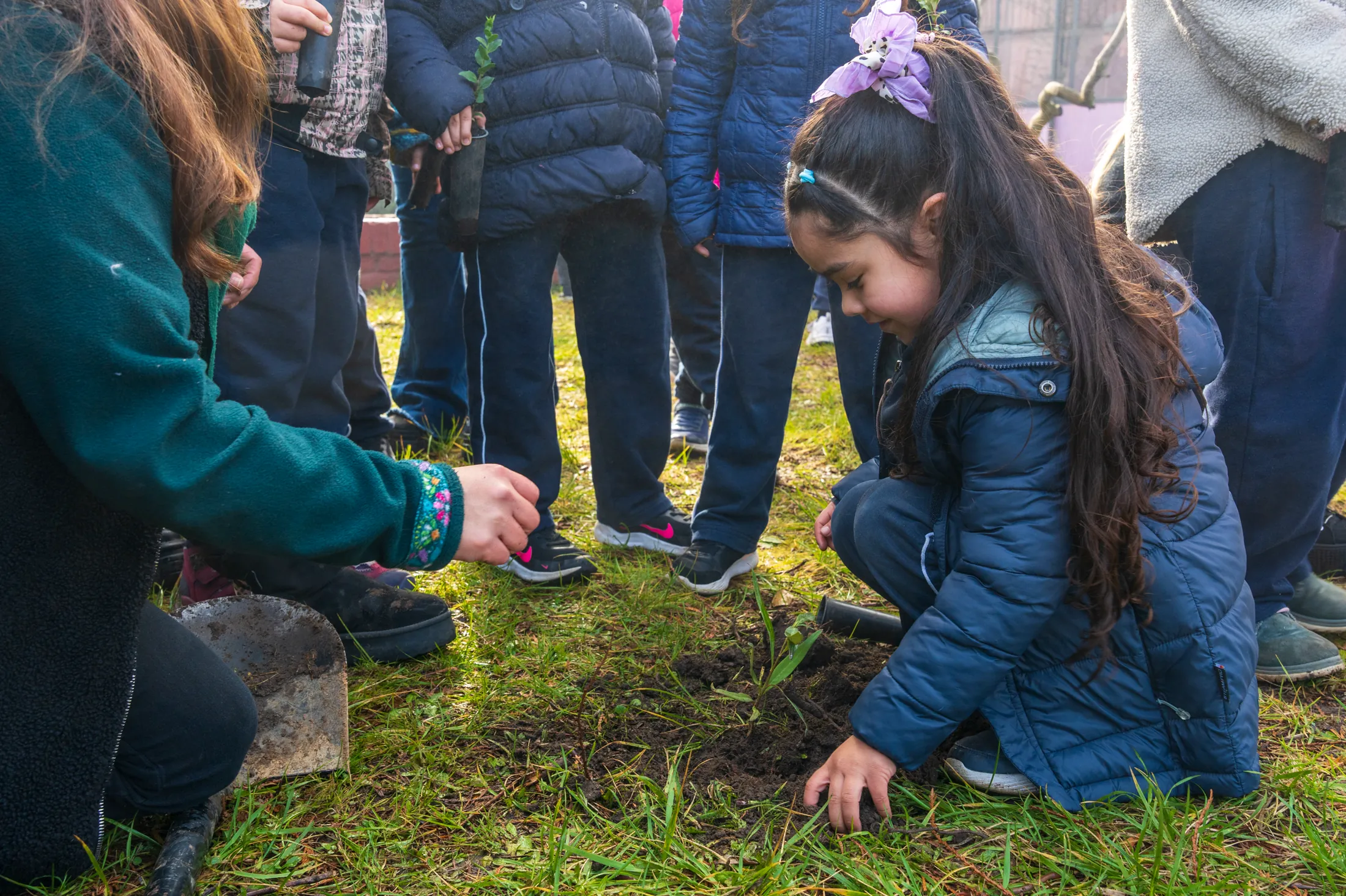 Proyectos medioambientales - registro 60
