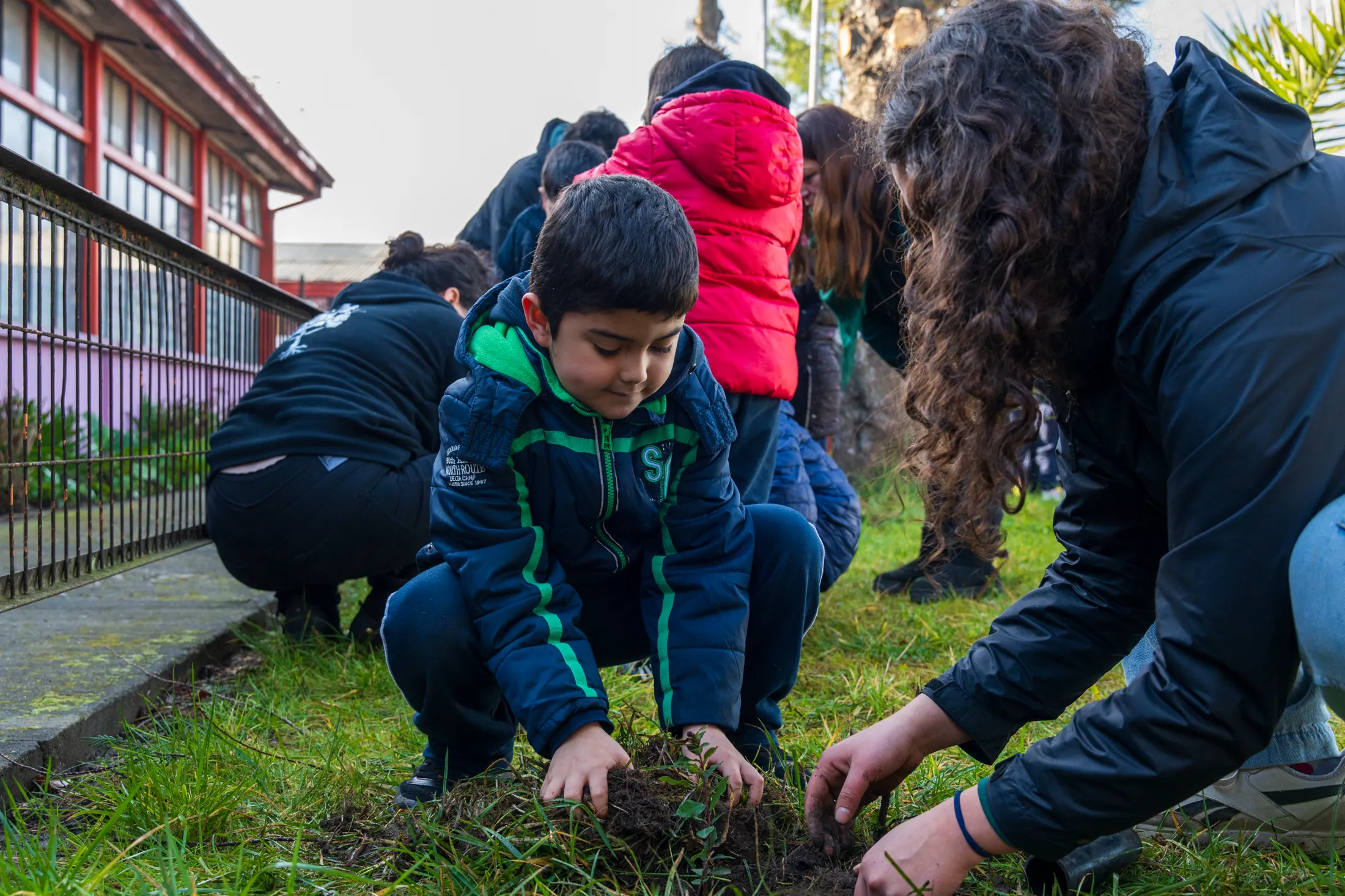 Proyectos medioambientales - registro 39