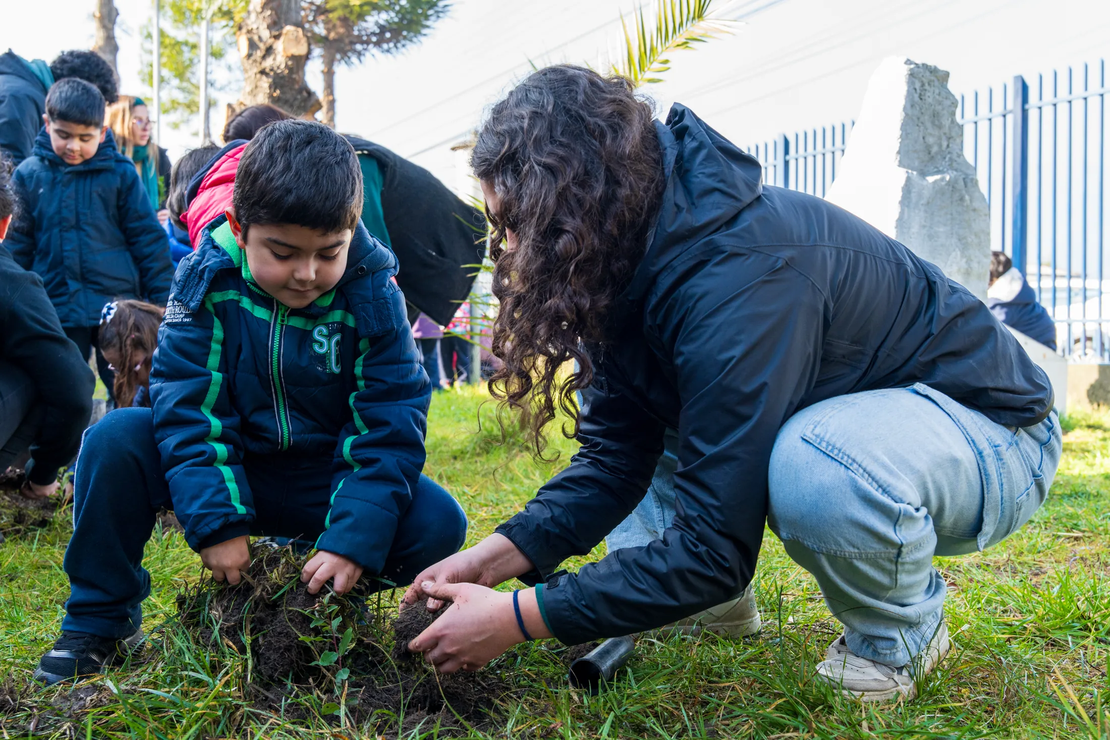 Proyectos medioambientales - registro 100