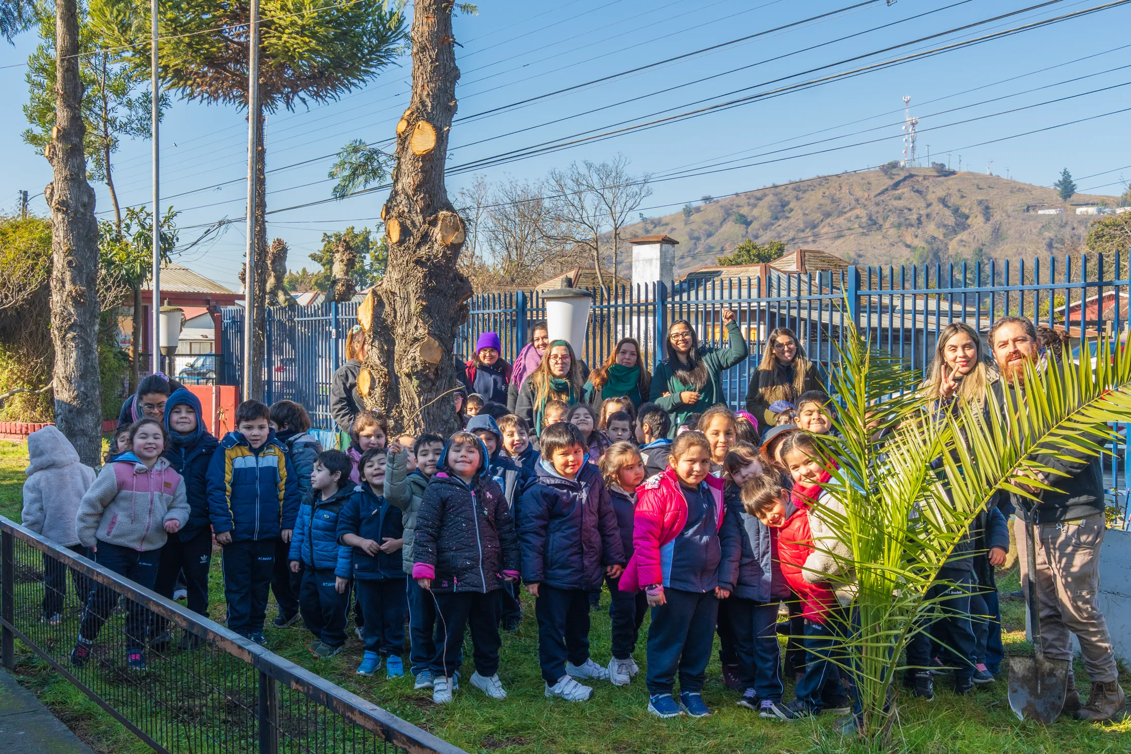Proyectos medioambientales - registro 48