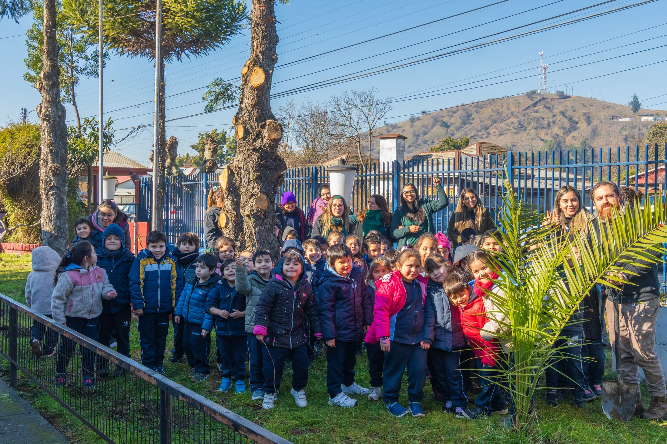 Proyectos medioambientales - registro 59