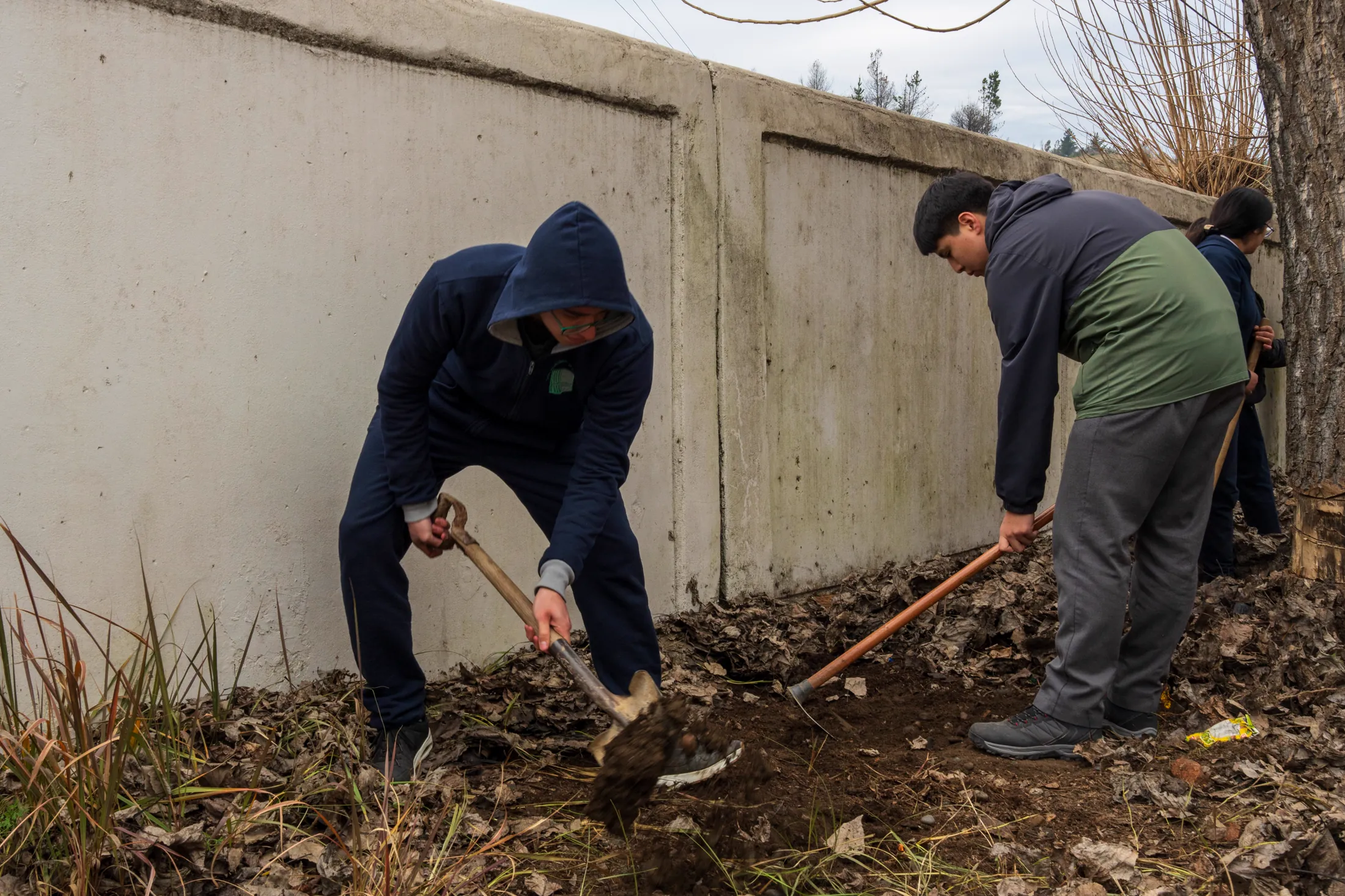 Liceo DOR - registro 14