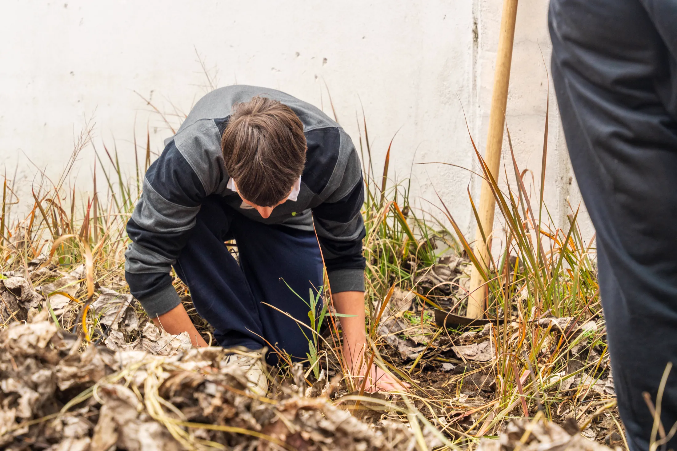Liceo DOR - registro 10