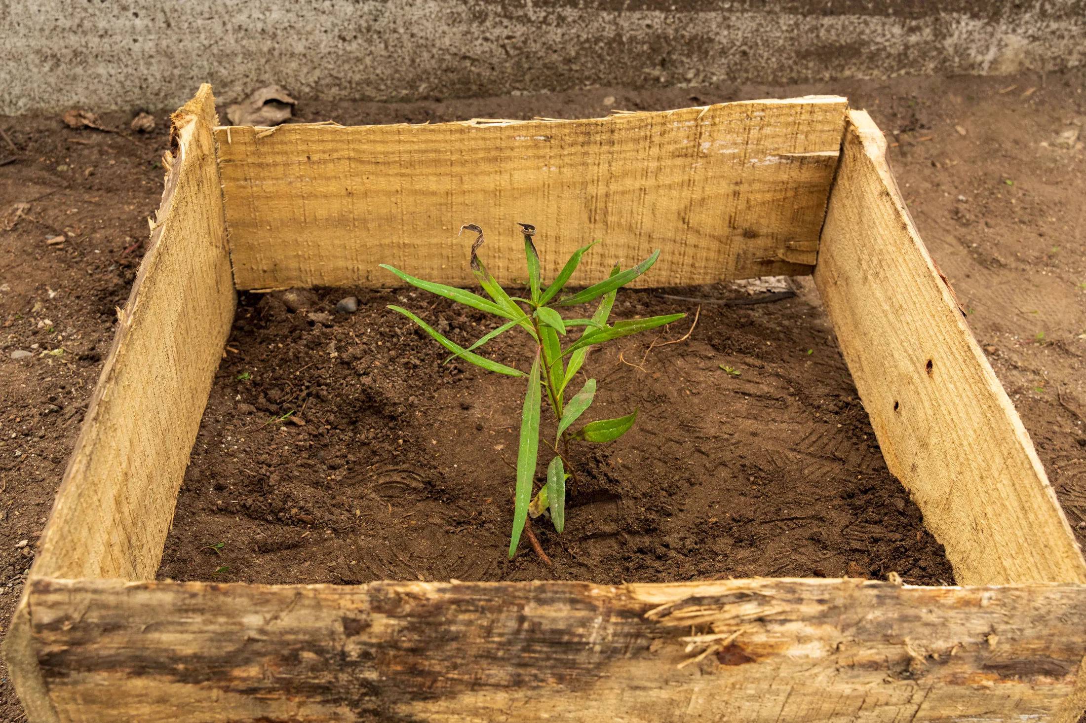 Liceo DOR - registro 2