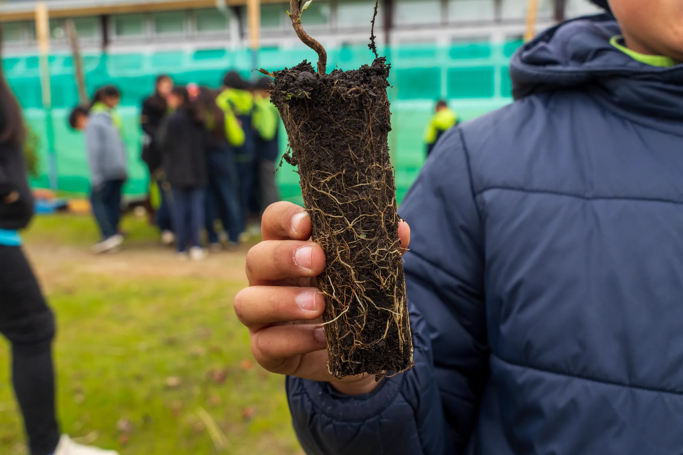 Liceo de Guarilihue - registro 7