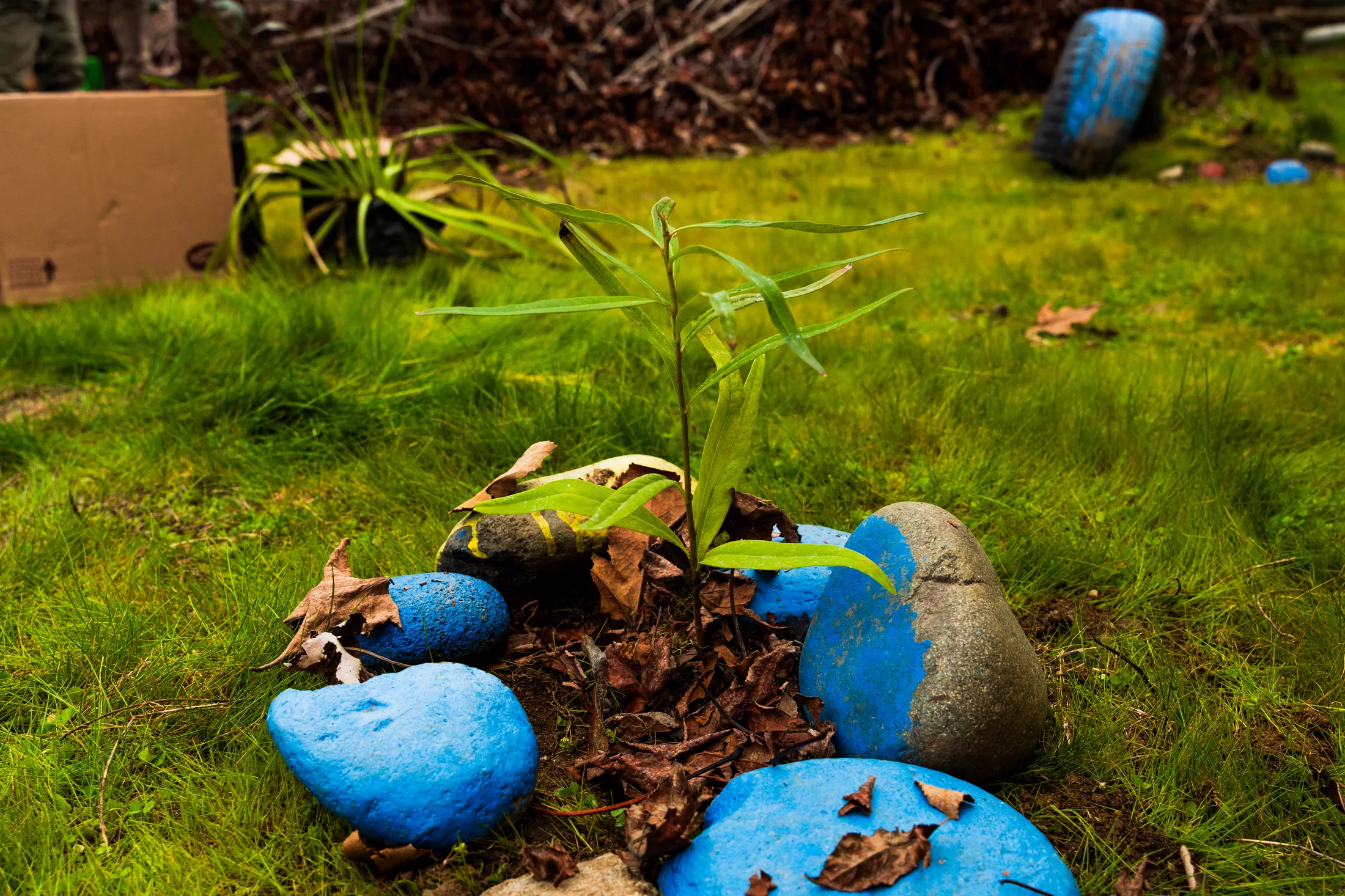 Liceo de Guarilihue - registro 5