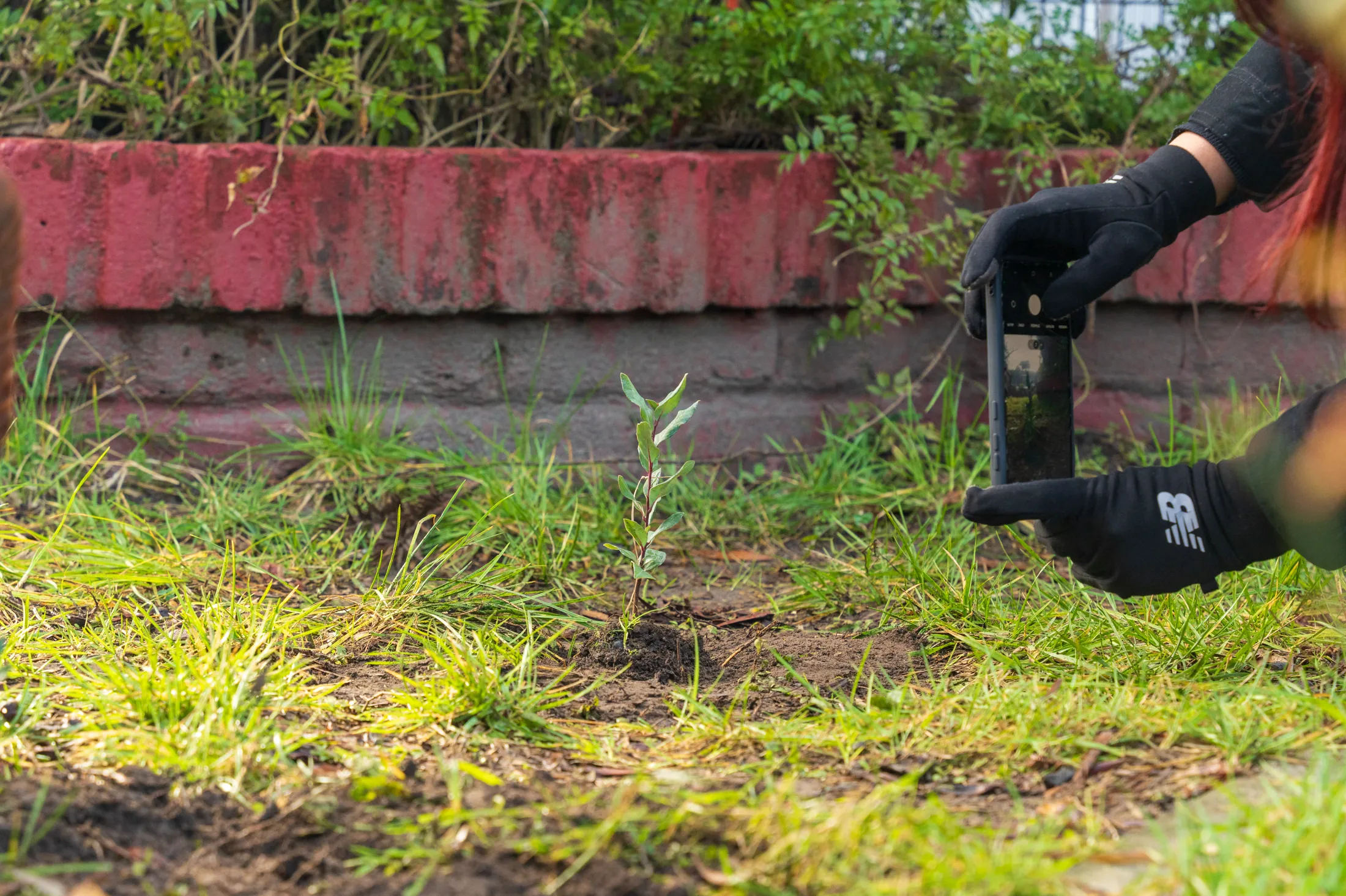 Marchant y Magdalena - registro 20