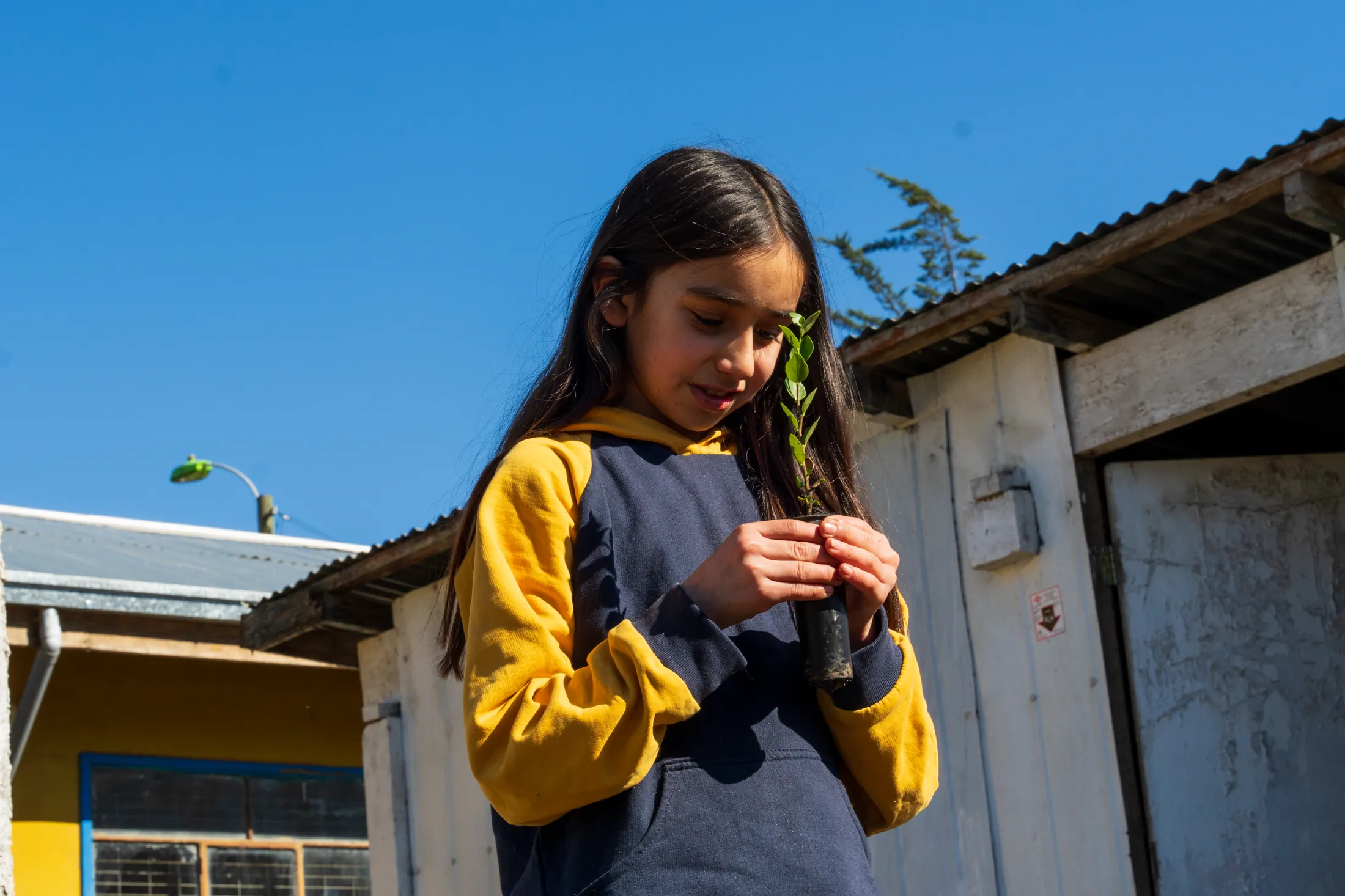 Marchant y Magdalena - registro 23