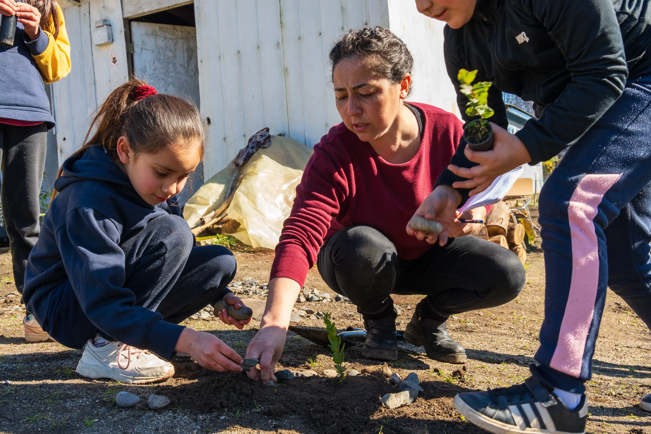 Marchant y Magdalena - registro 29