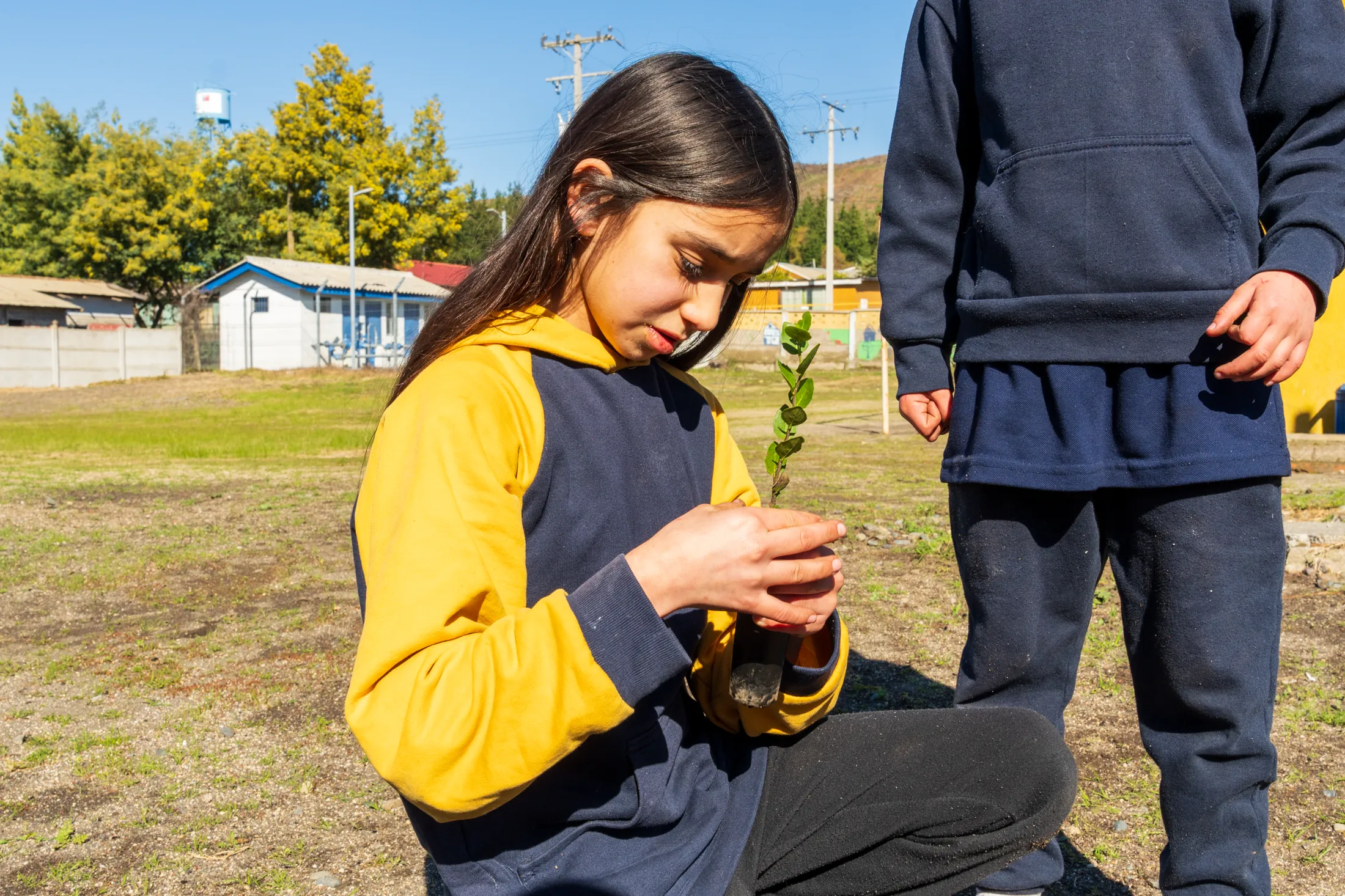 Marchant y Magdalena - registro 5