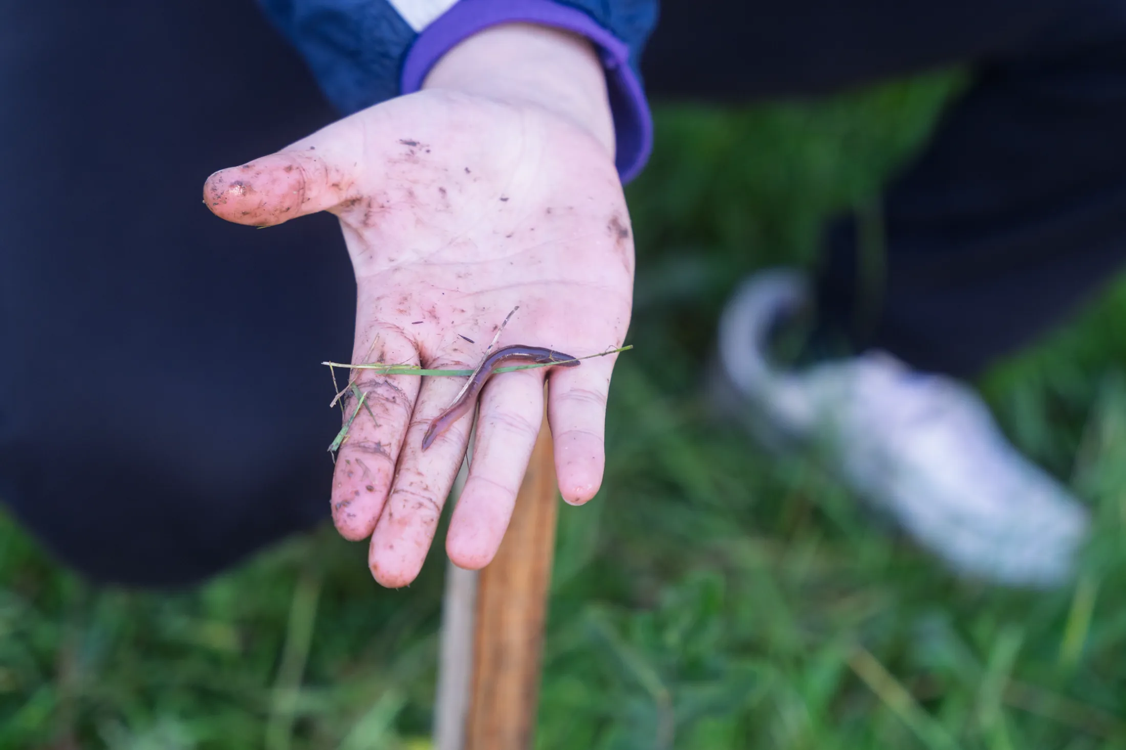 Proyectos medioambientales - registro 5