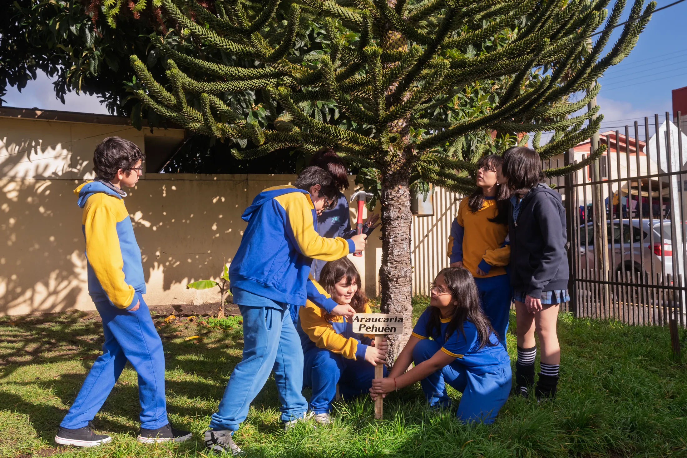 Proyectos medioambientales - registro 13